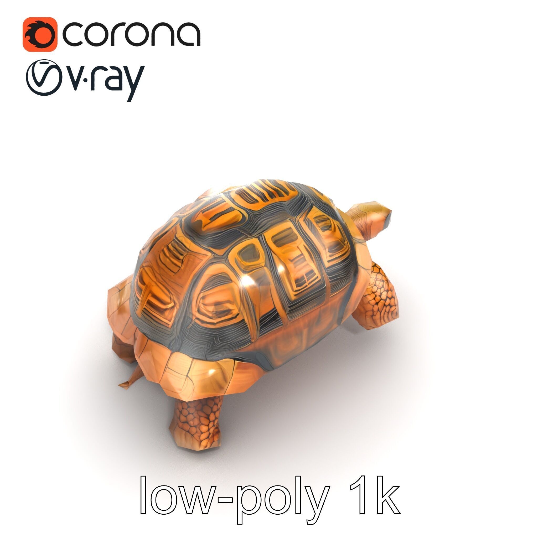 Galapagos Tortoise Realistic Texture model pack Low-poly 3D model_29