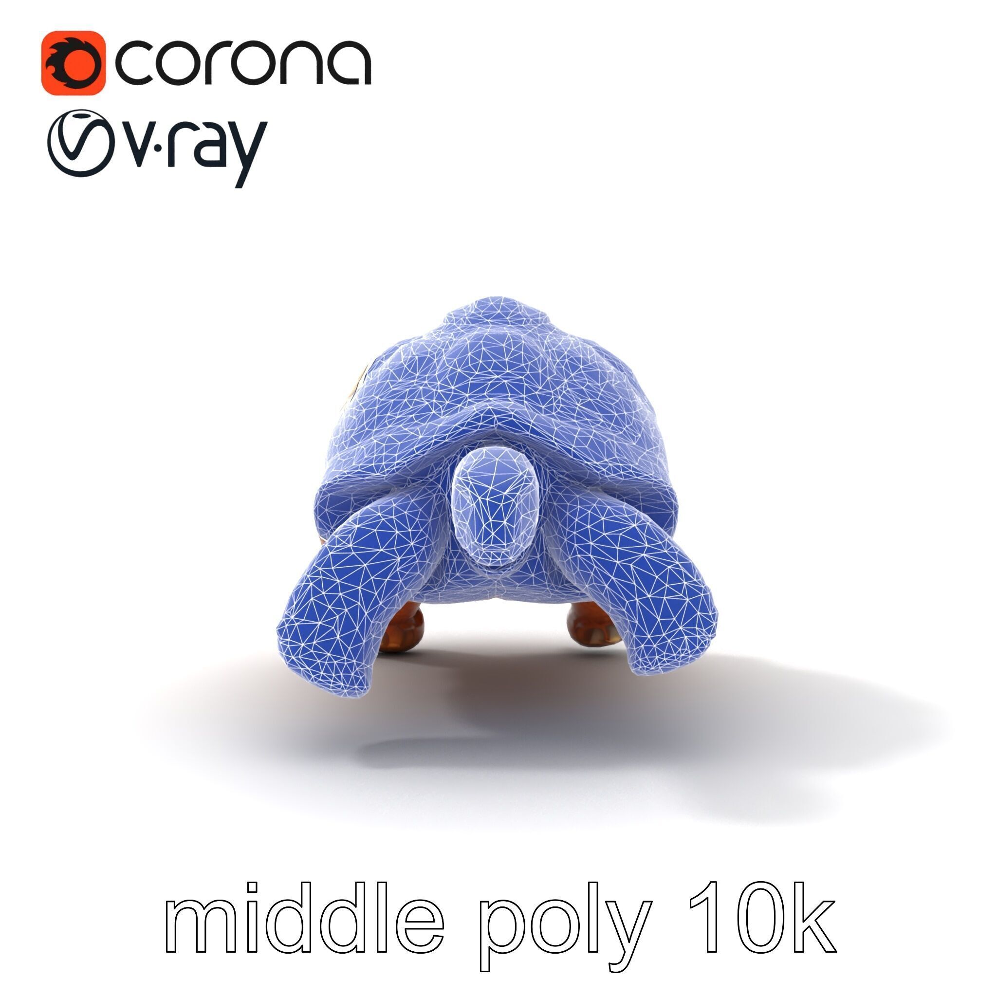 Galapagos Tortoise Realistic Texture model pack Low-poly 3D model_25