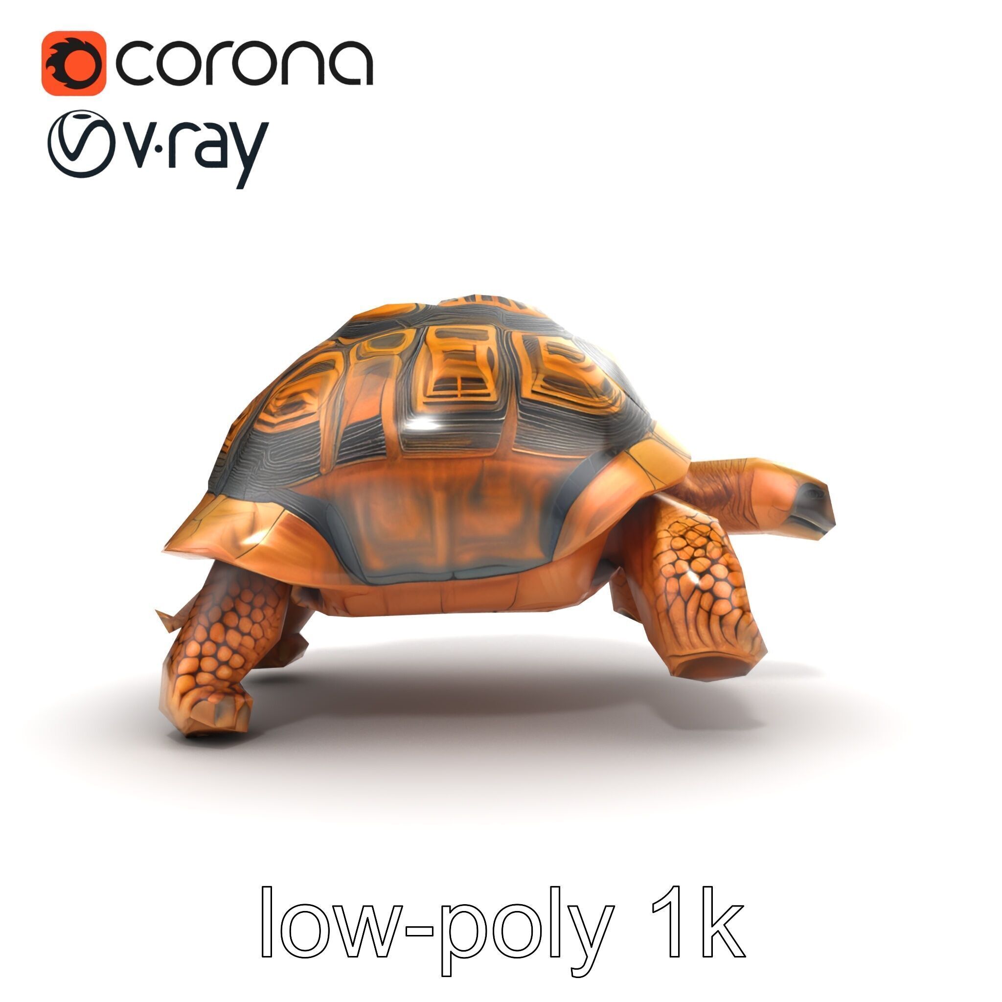 Galapagos Tortoise Realistic Texture model pack Low-poly 3D model_27