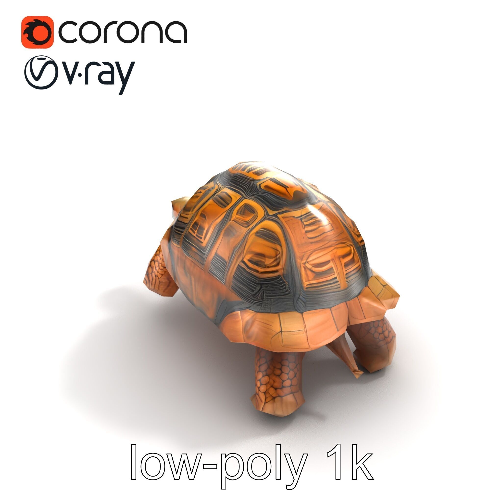 Galapagos Tortoise Realistic Texture model pack Low-poly 3D model_9