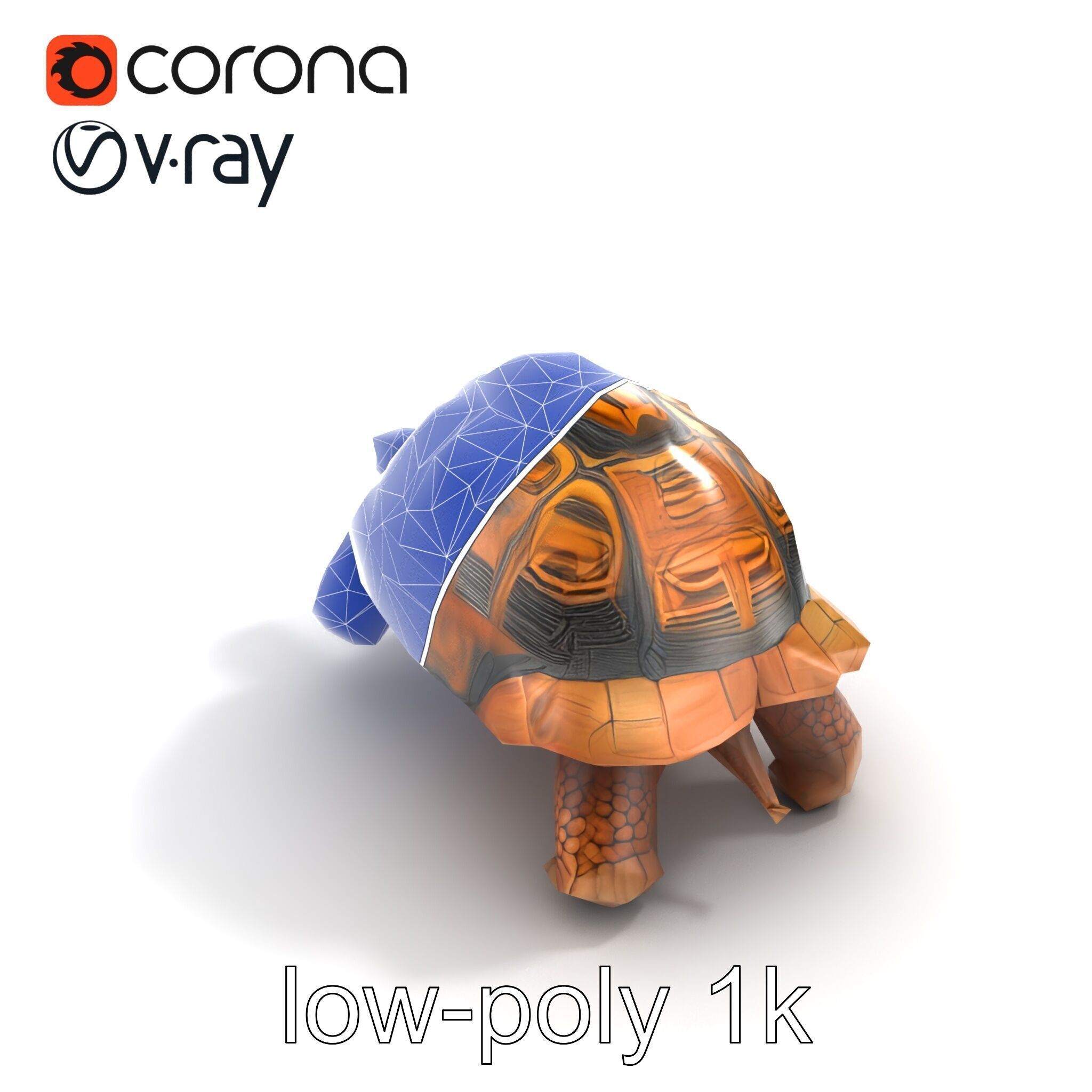 Galapagos Tortoise Realistic Texture model pack Low-poly 3D model_15