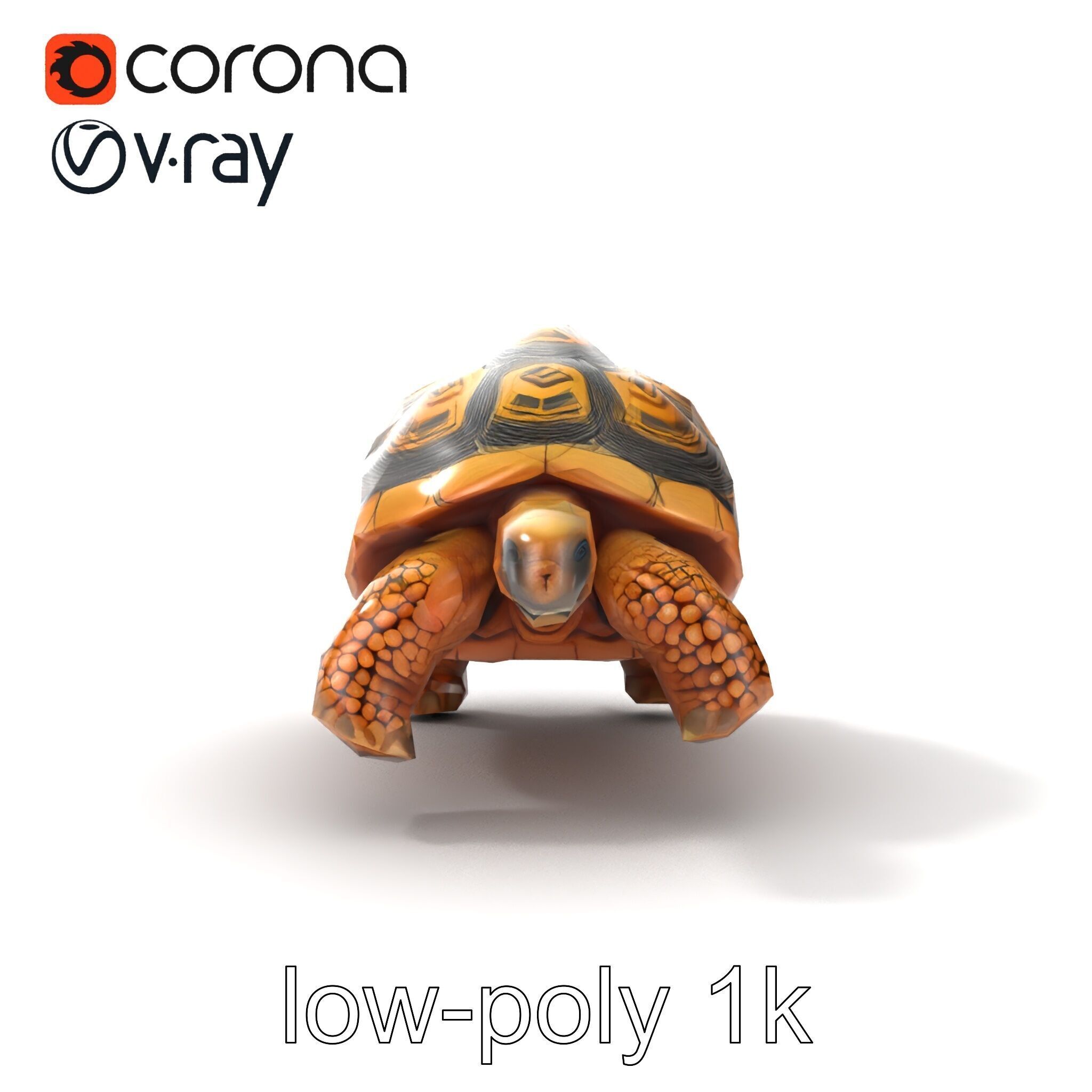 Galapagos Tortoise Realistic Texture model pack Low-poly 3D model_26