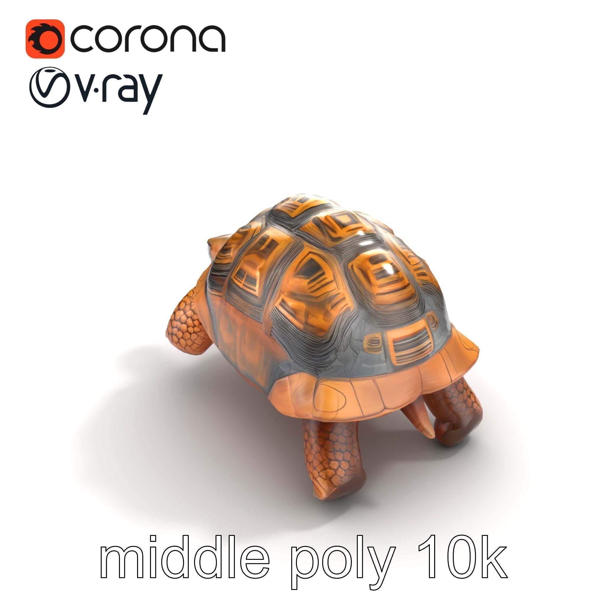 Galapagos Tortoise Realistic Texture model pack Low-poly 3D model_8