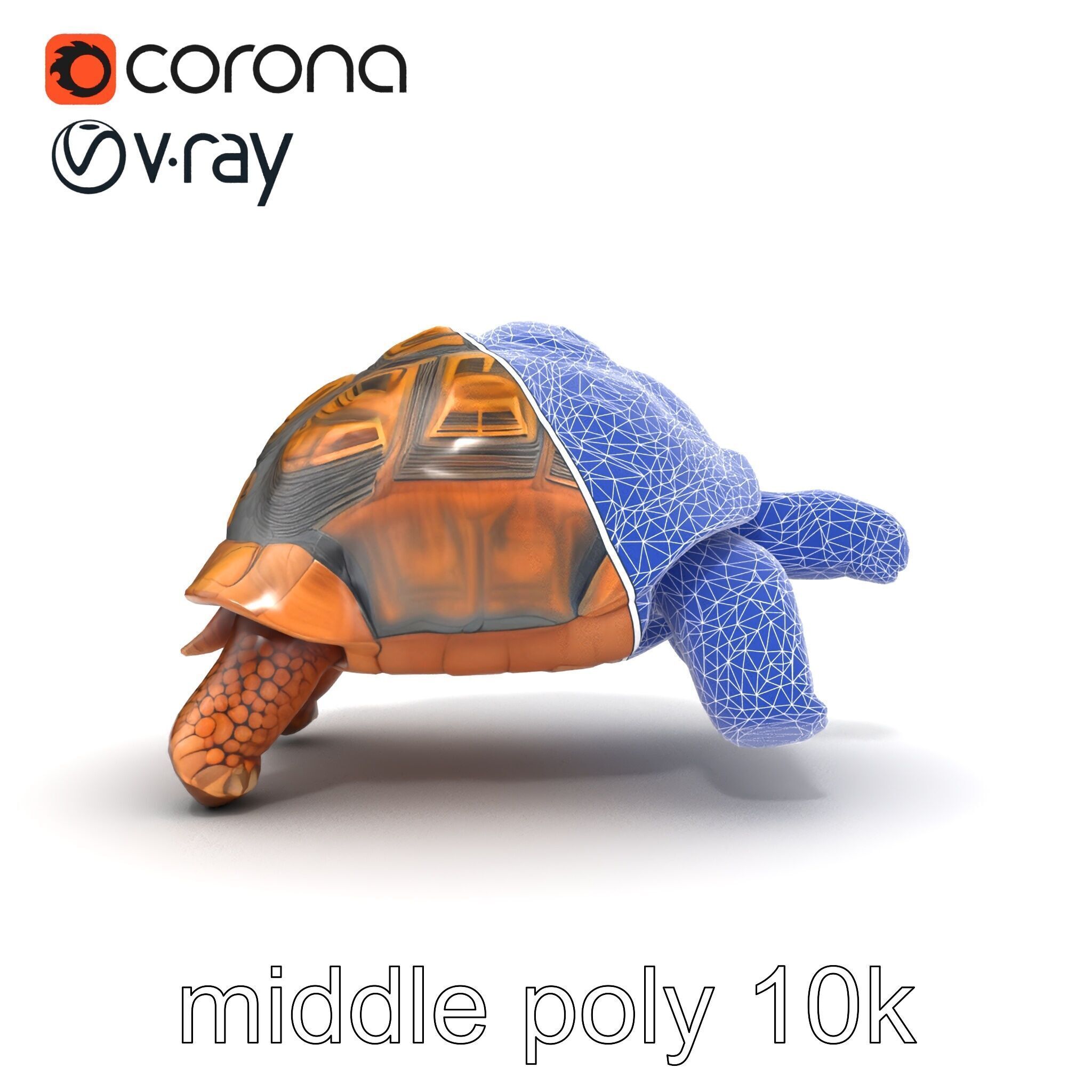 Galapagos Tortoise Realistic Texture model pack Low-poly 3D model_30