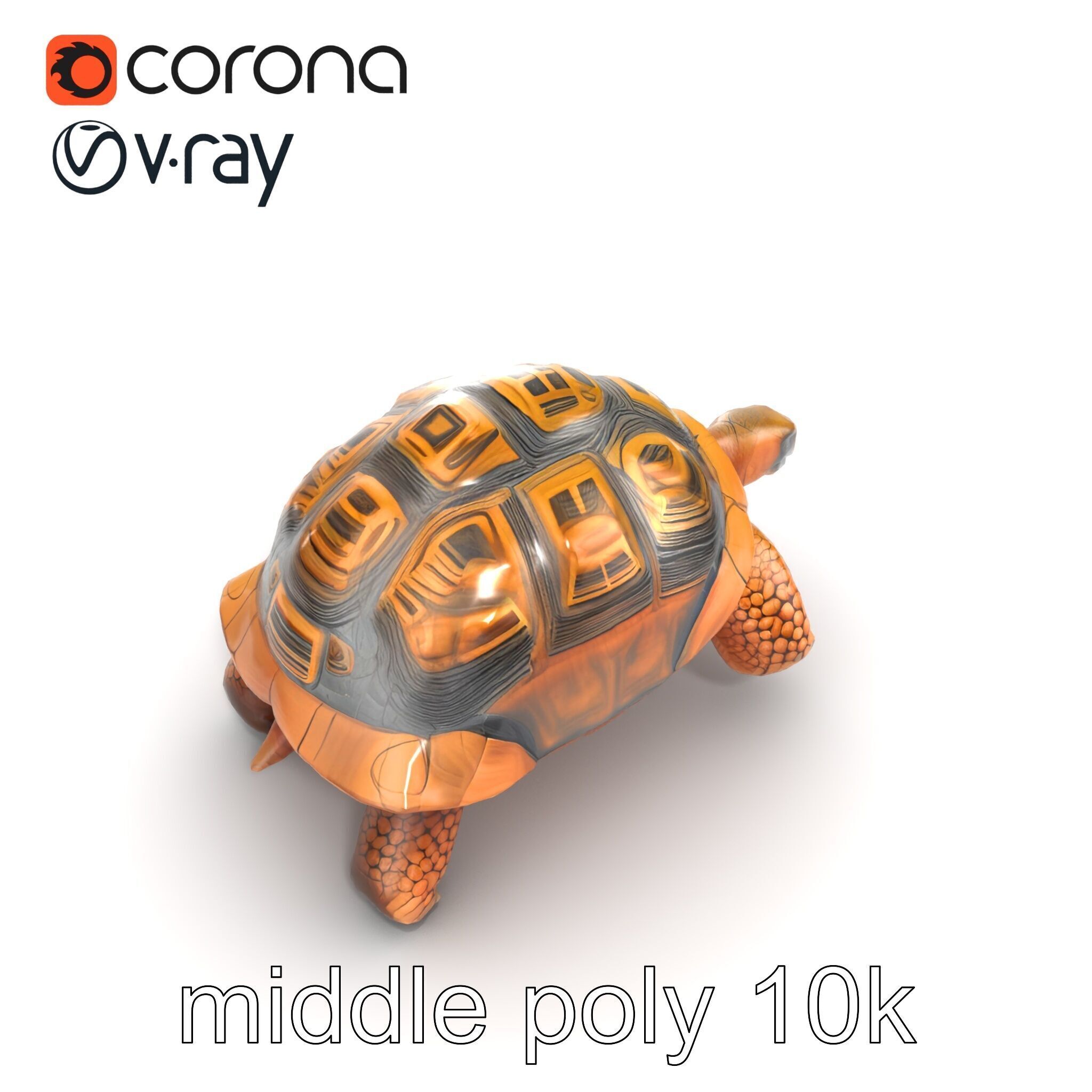 Galapagos Tortoise Realistic Texture model pack Low-poly 3D model_13