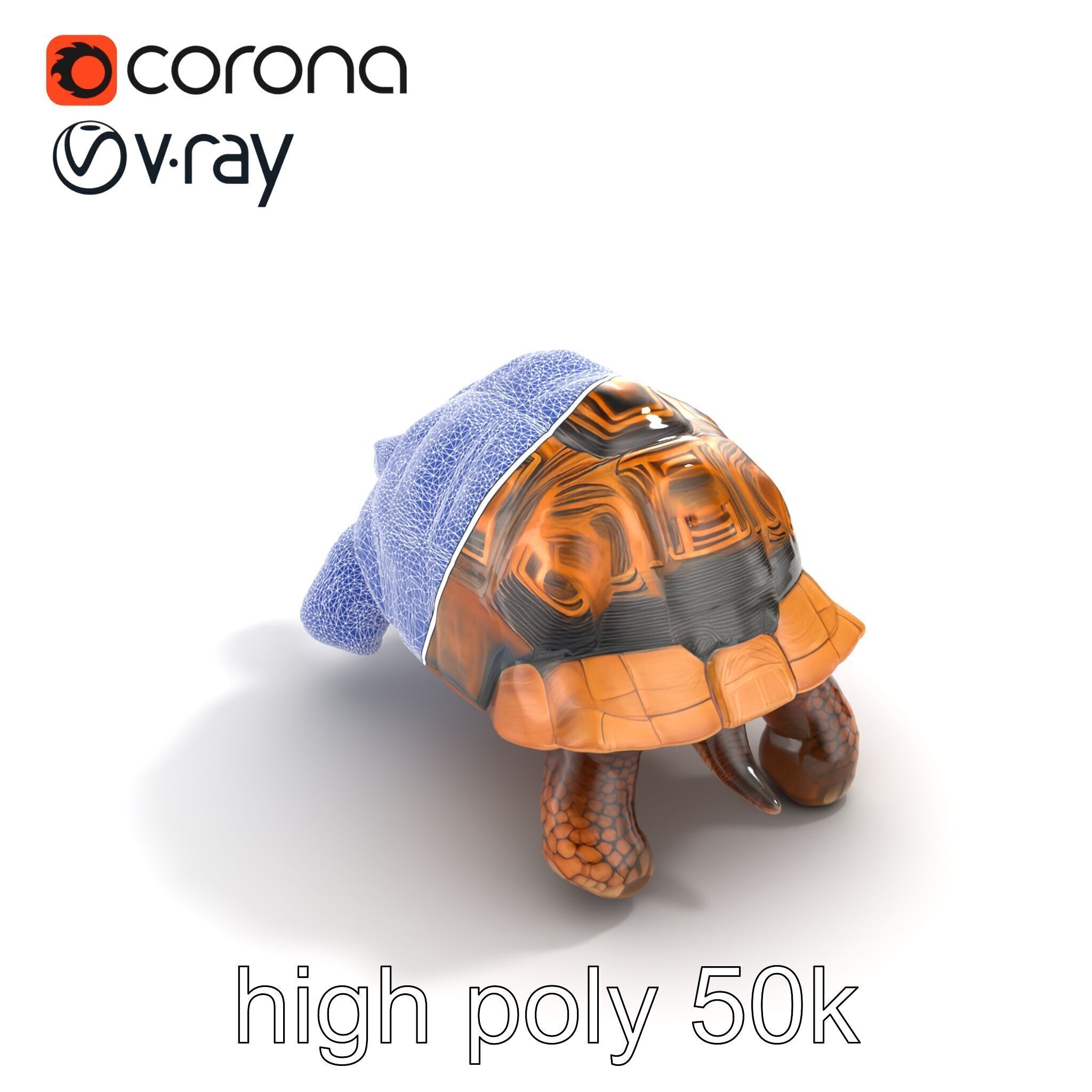 Galapagos Tortoise Realistic Texture model pack Low-poly 3D model_12