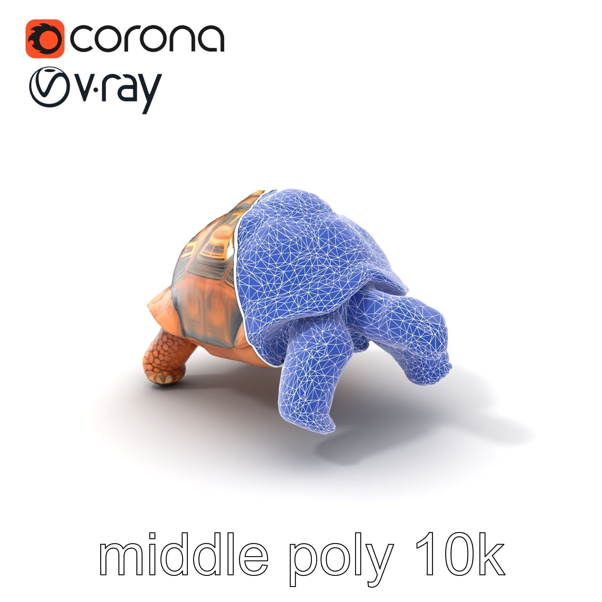 Galapagos Tortoise Realistic Texture model pack Low-poly 3D model_6