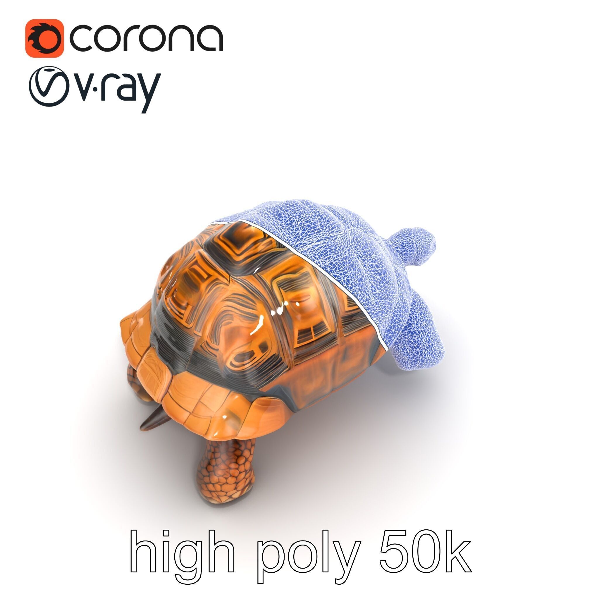 Galapagos Tortoise Realistic Texture model pack Low-poly 3D model_23