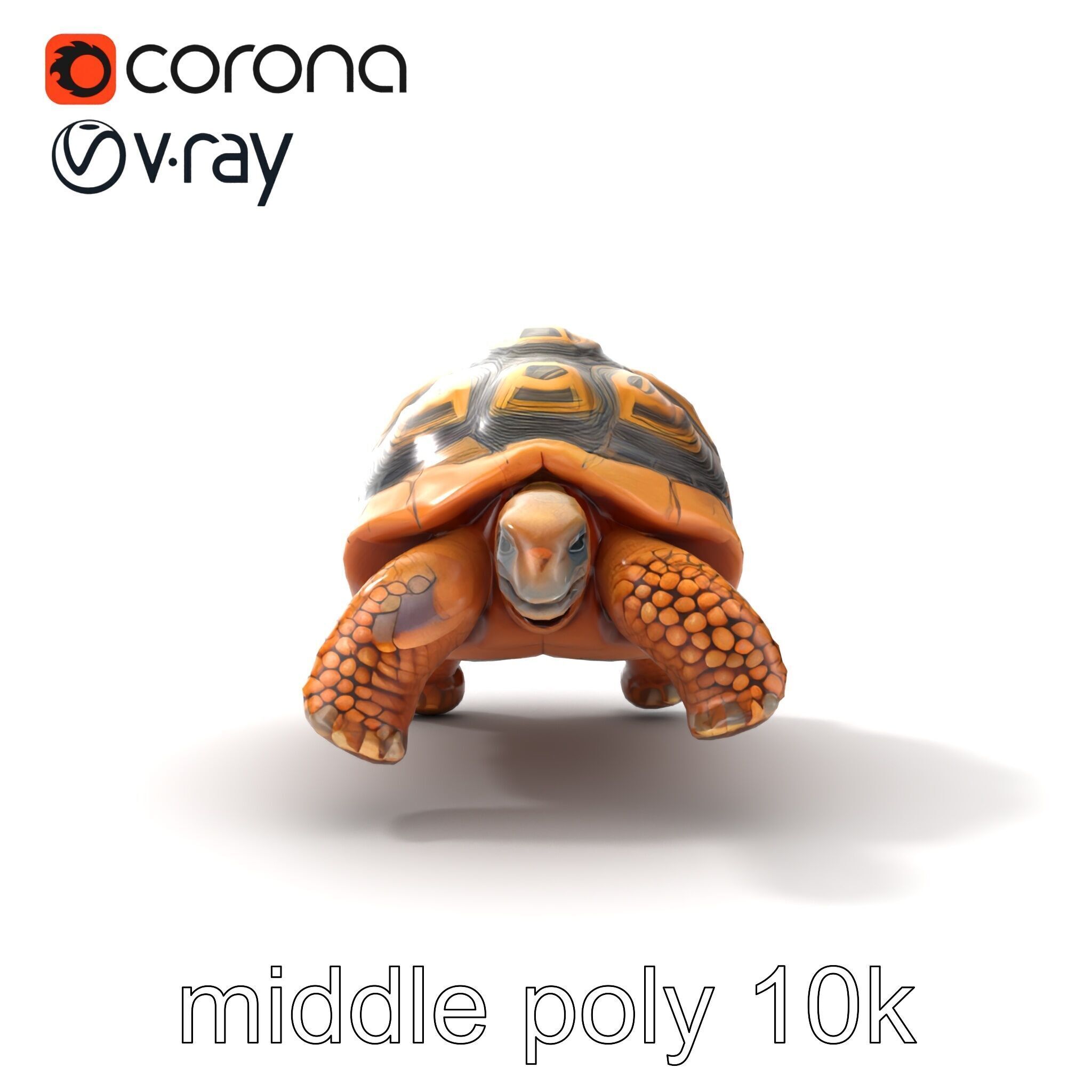 Galapagos Tortoise Realistic Texture model pack Low-poly 3D model_19