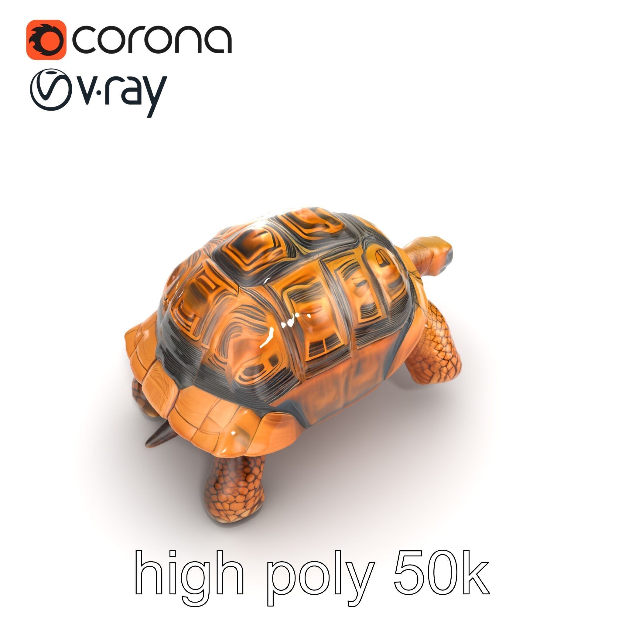 Galapagos Tortoise Realistic Texture model pack Low-poly 3D model_31