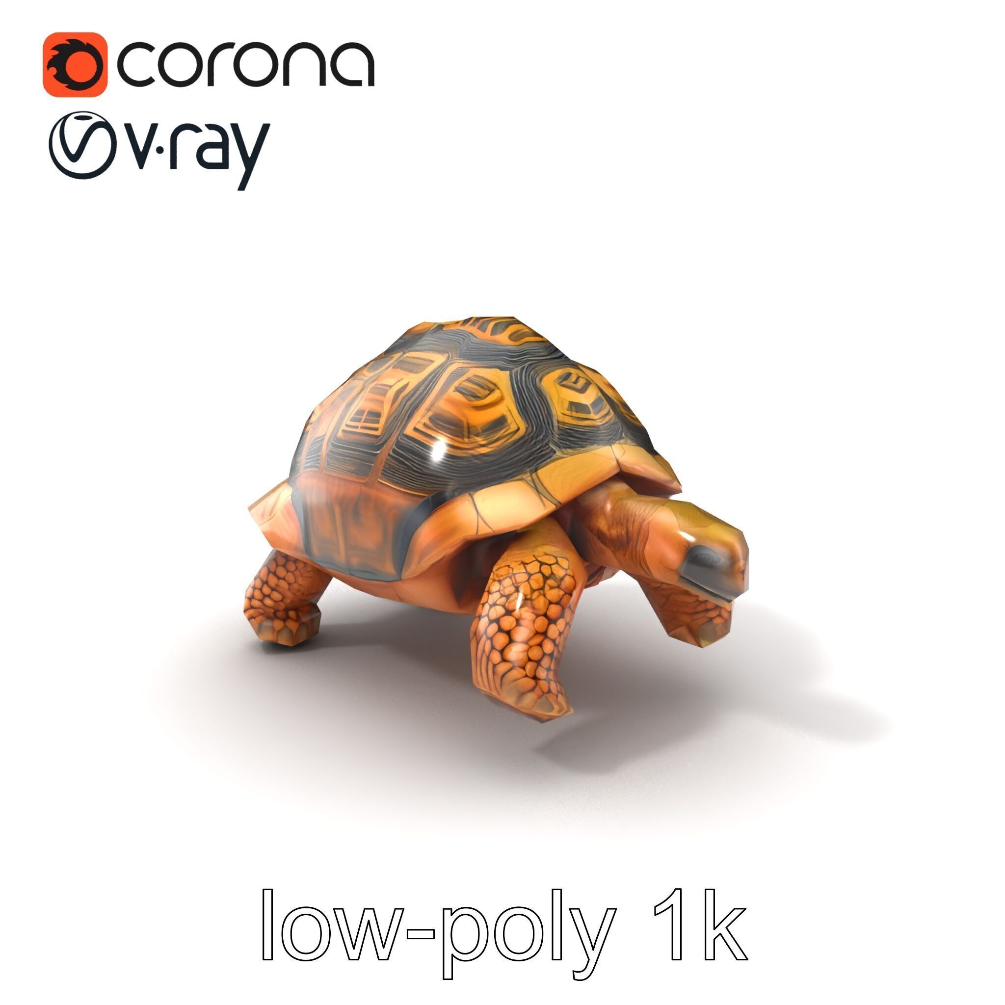 Galapagos Tortoise Realistic Texture model pack Low-poly 3D model_5