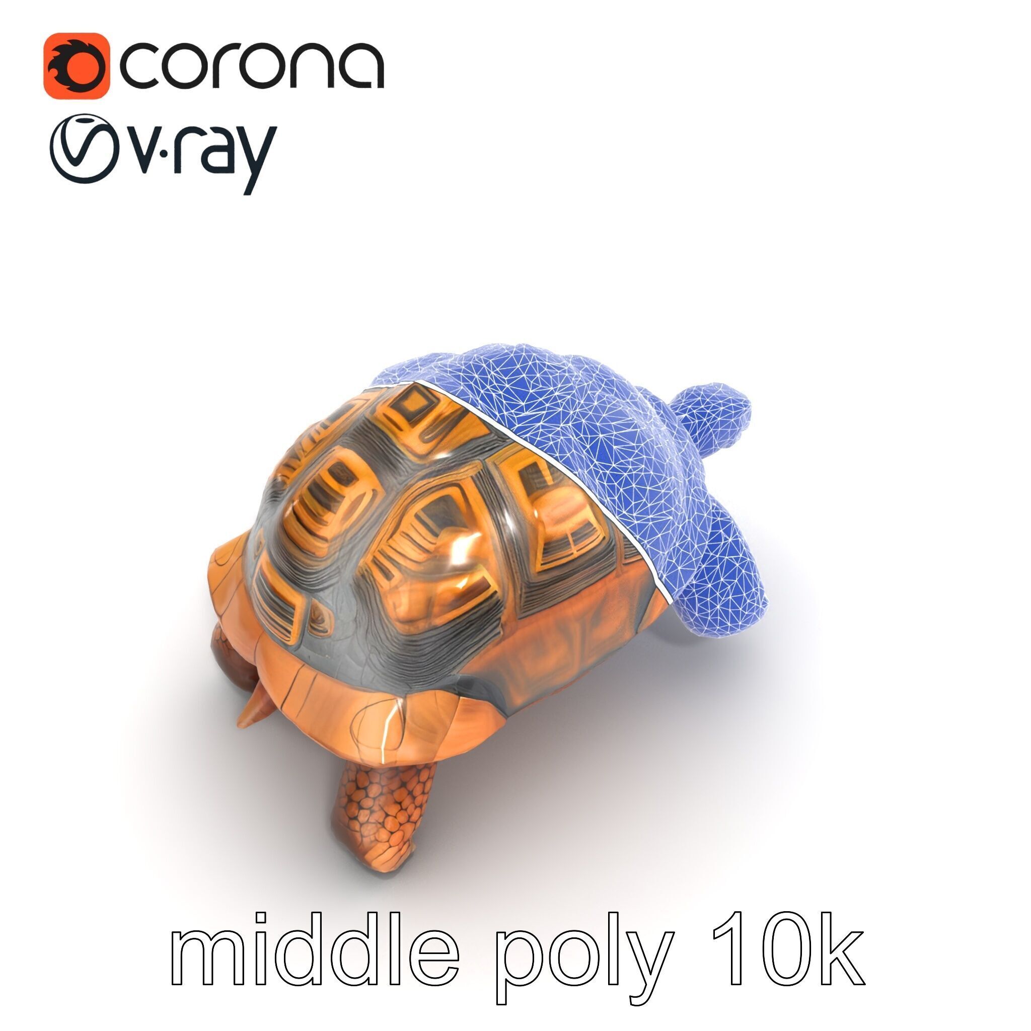 Galapagos Tortoise Realistic Texture model pack Low-poly 3D model_21