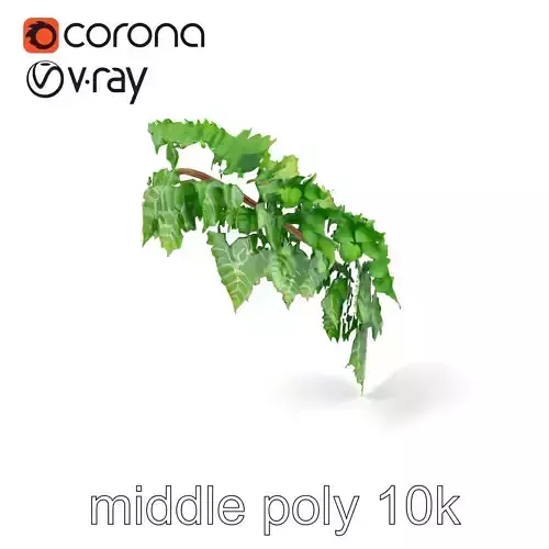 Photorealistic Pteridium Fern Triangular Leaves model pack