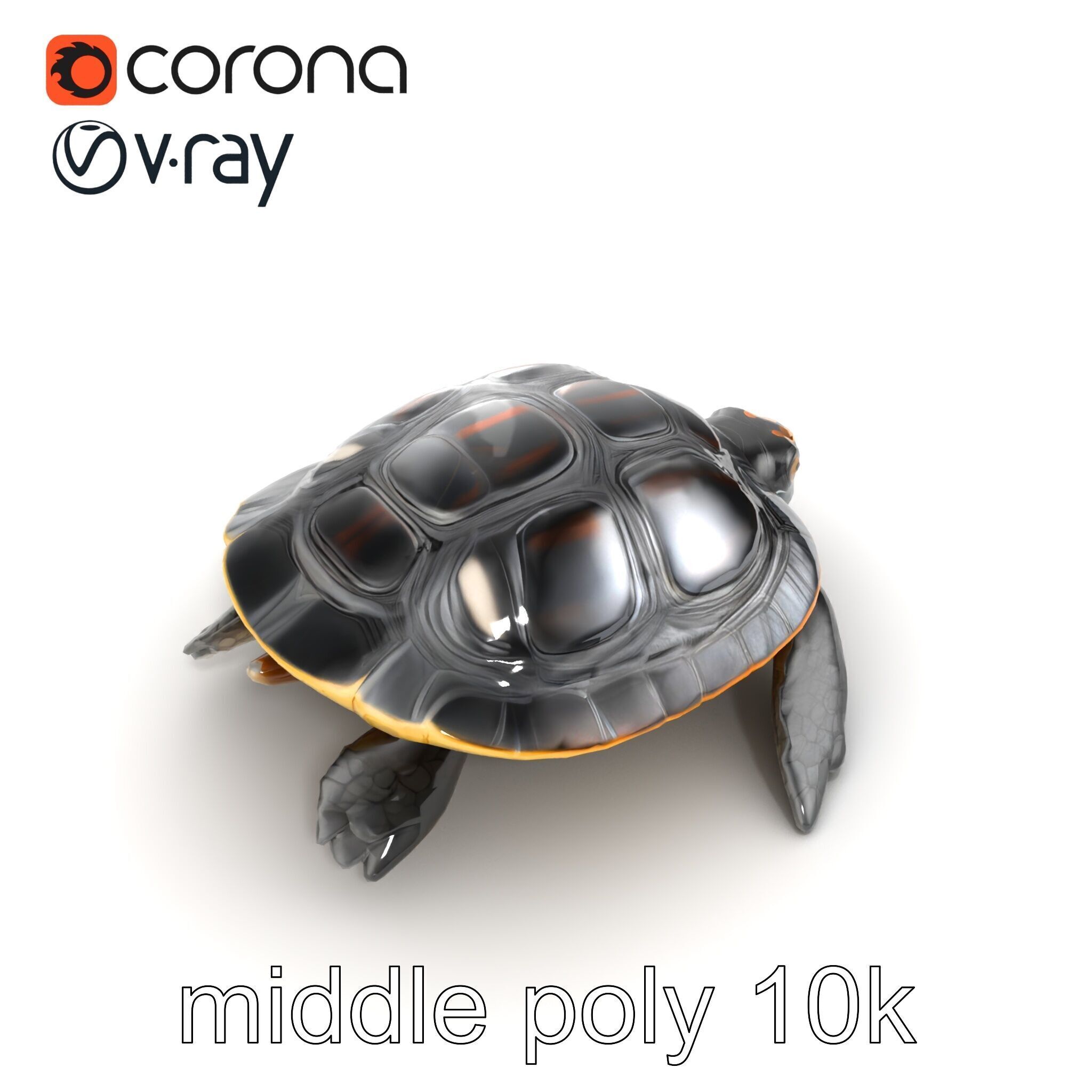 Caspian Turtle Smooth Shell Realism Model Pack Low-poly 3D model_15