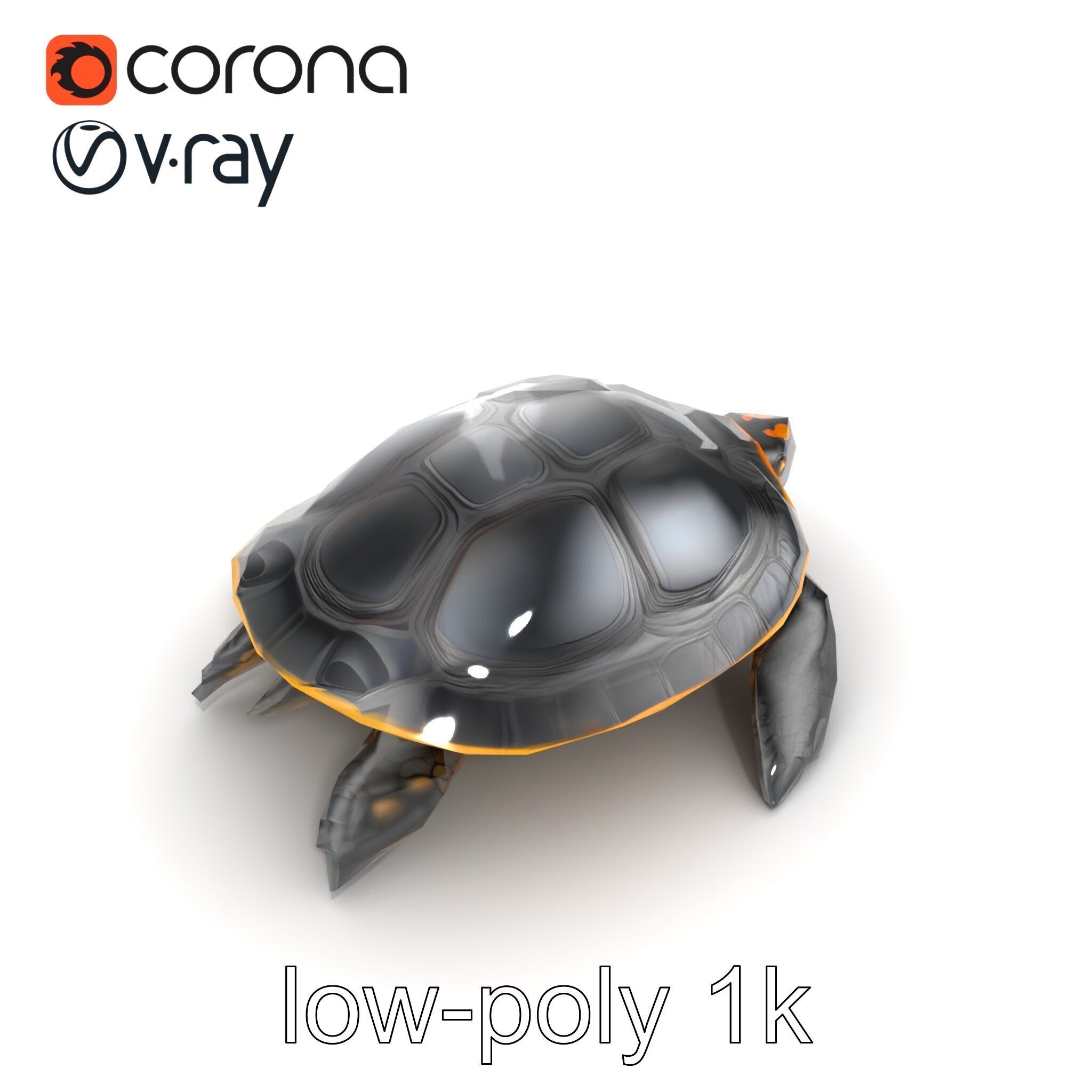 Caspian Turtle Smooth Shell Realism Model Pack Low-poly 3D model_18