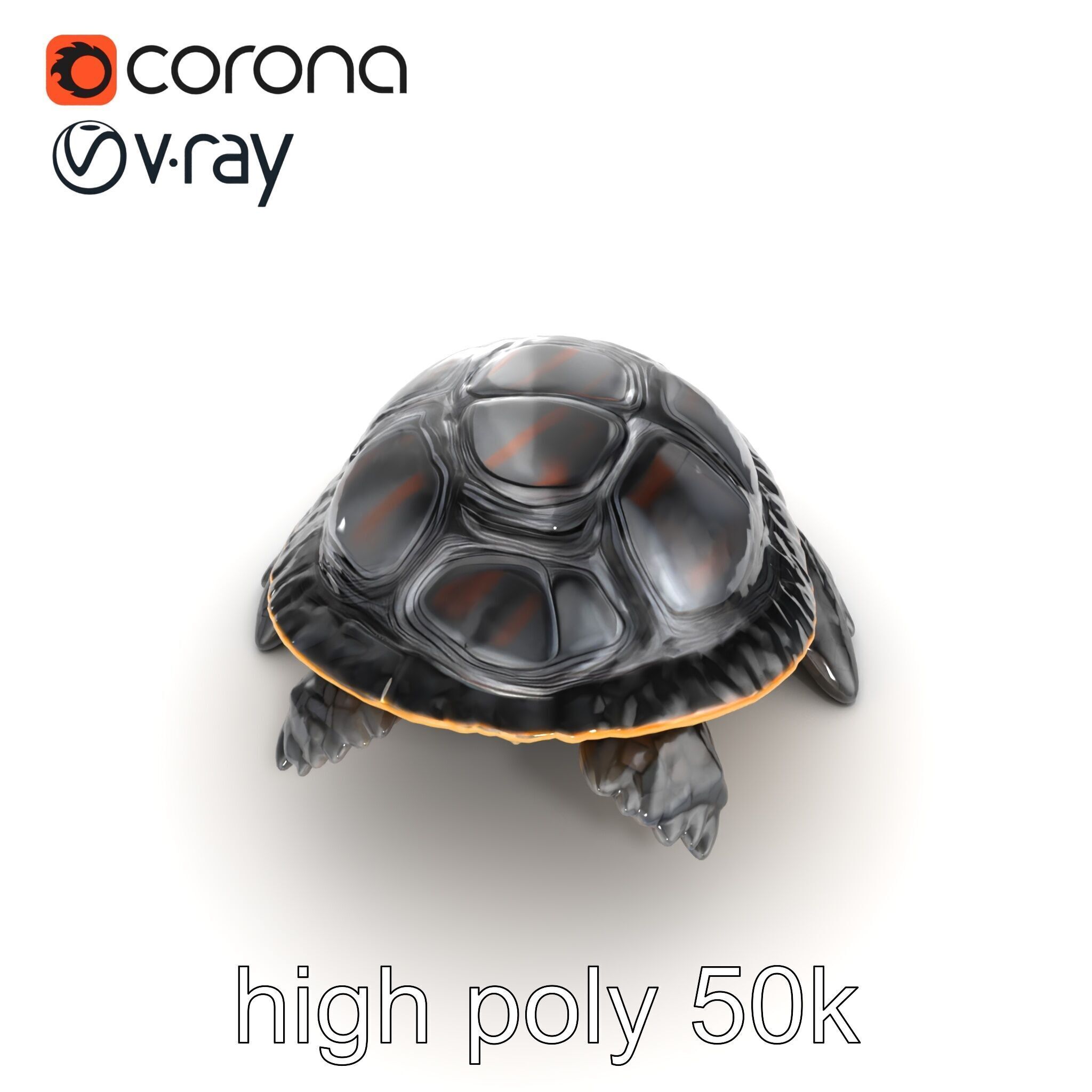 Caspian Turtle Smooth Shell Realism Model Pack Low-poly 3D model_12