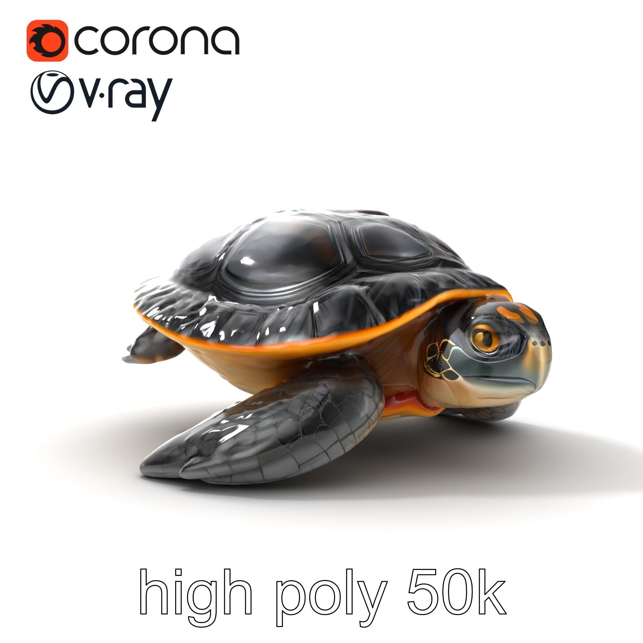 Caspian Turtle Smooth Shell Realism Model Pack Low-poly 3D model_19