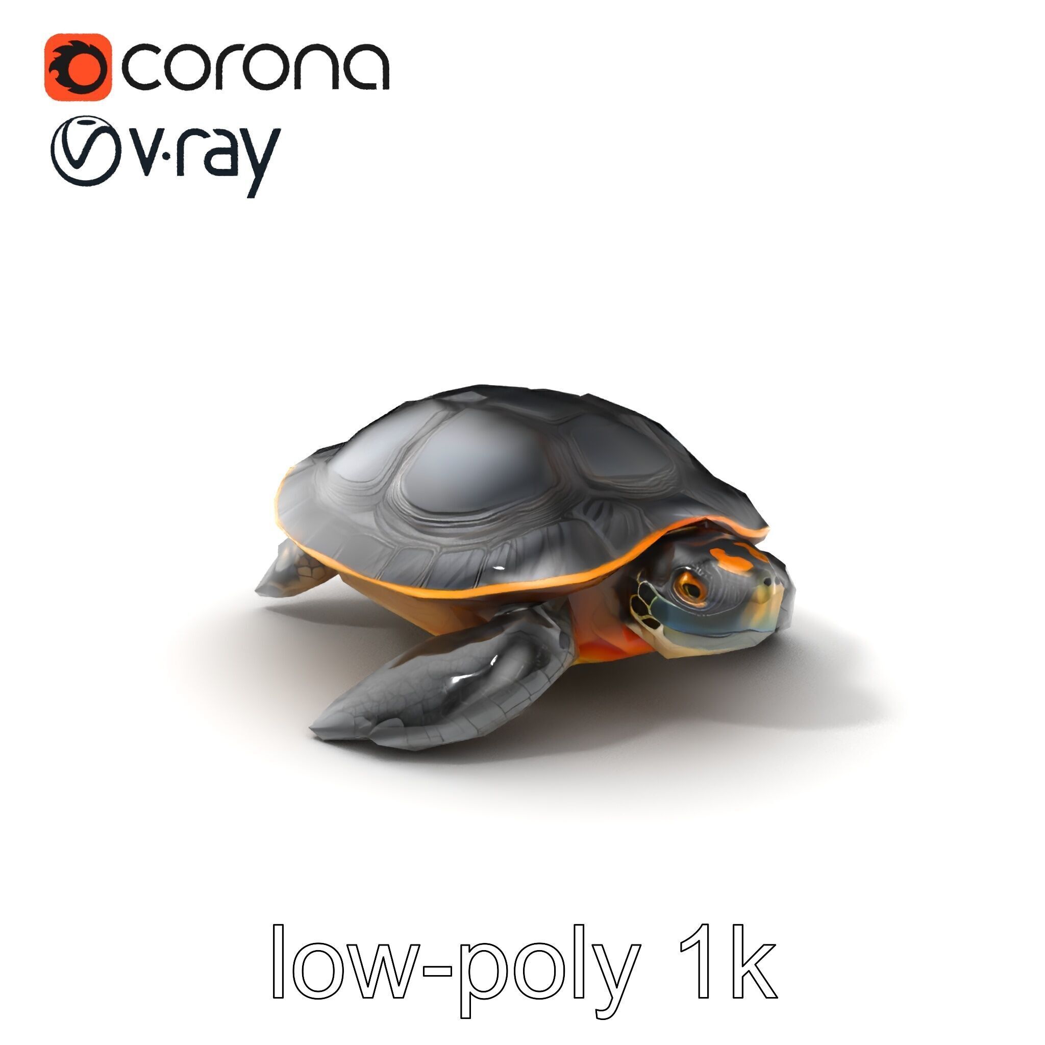 Caspian Turtle Smooth Shell Realism Model Pack Low-poly 3D model_5