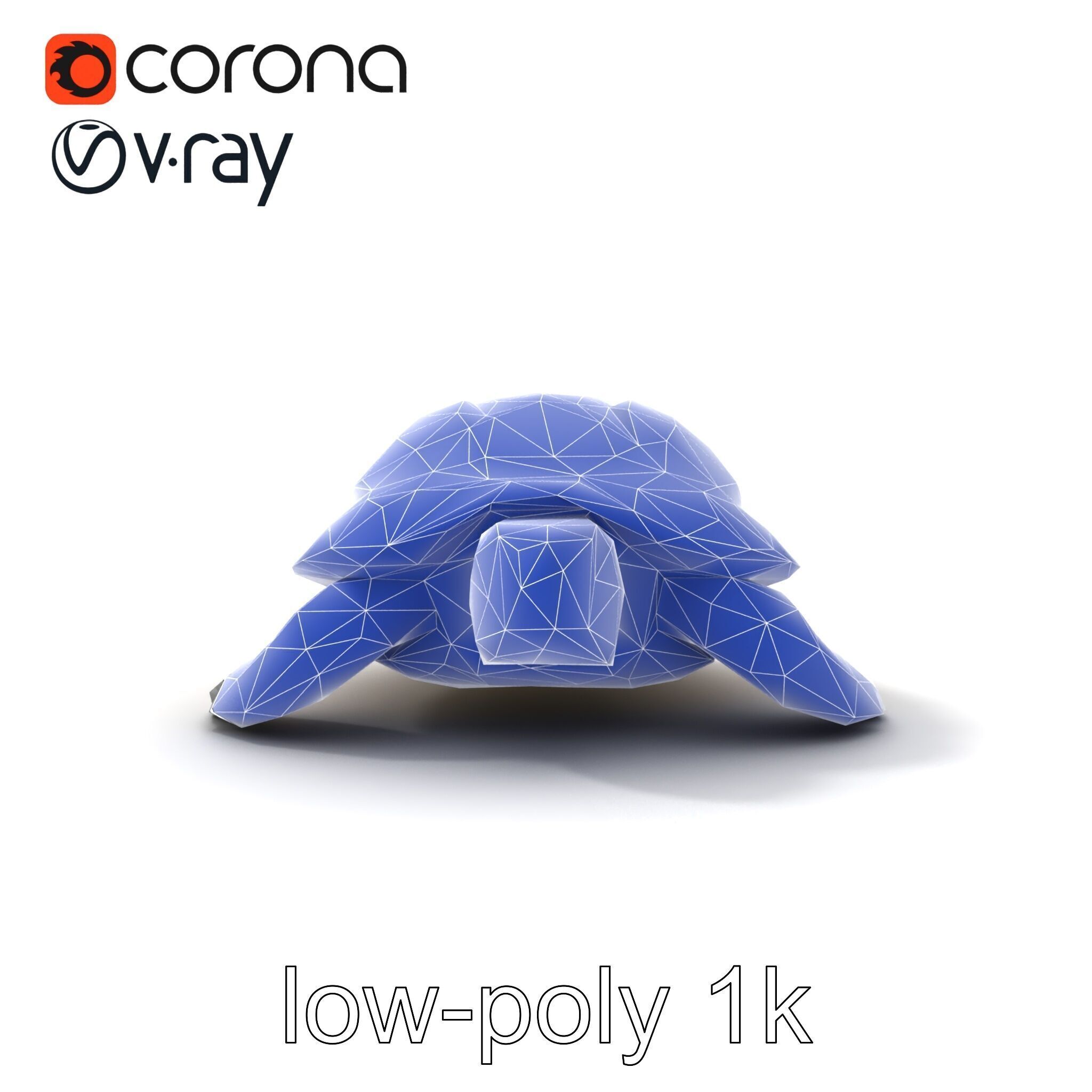 Caspian Turtle Smooth Shell Realism Model Pack Low-poly 3D model_23