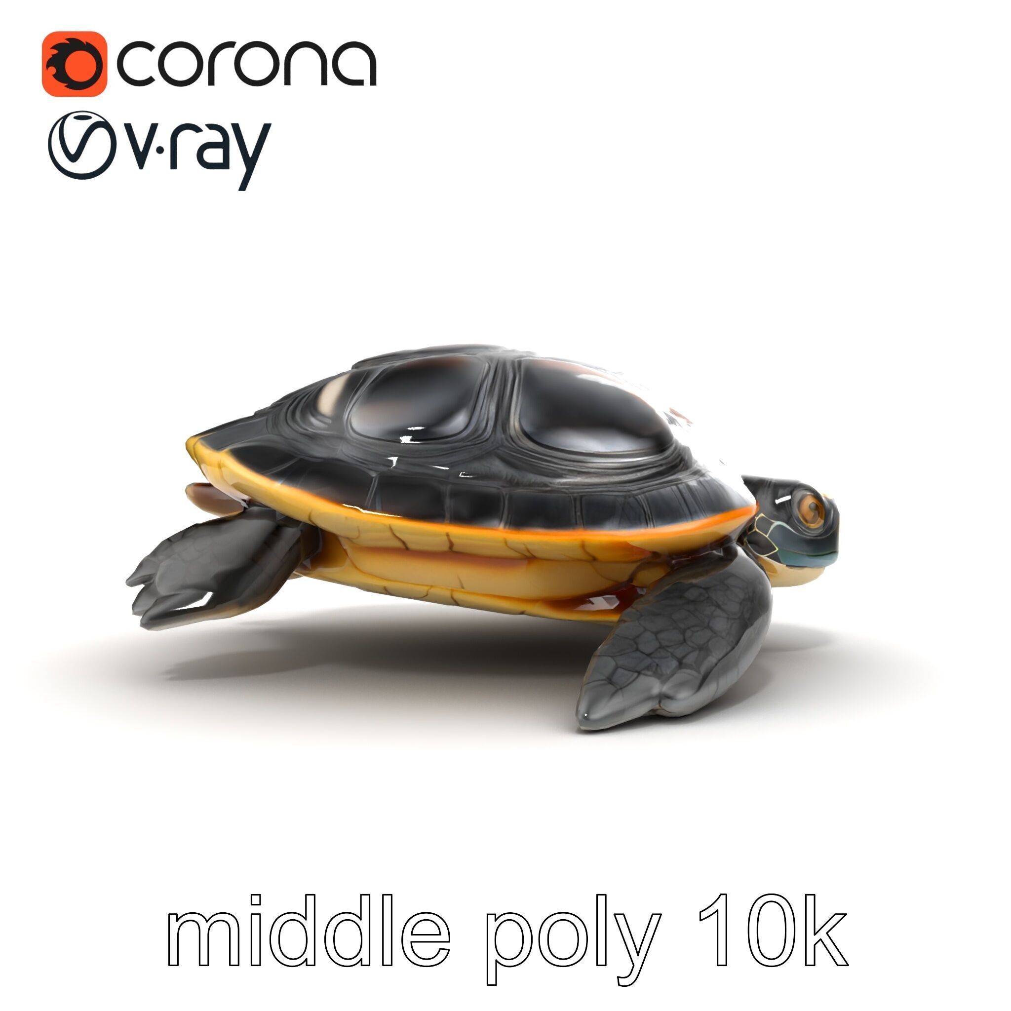 Caspian Turtle Smooth Shell Realism Model Pack Low-poly 3D model_16