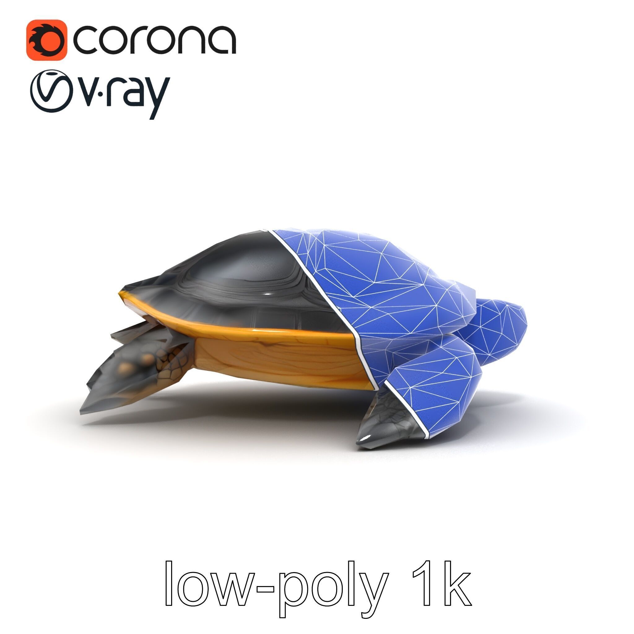 Caspian Turtle Smooth Shell Realism Model Pack Low-poly 3D model_24