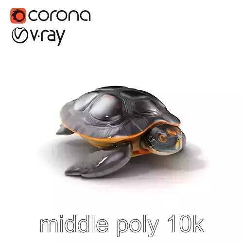 Caspian Turtle Smooth Shell Realism Model Pack Low-poly 3D model