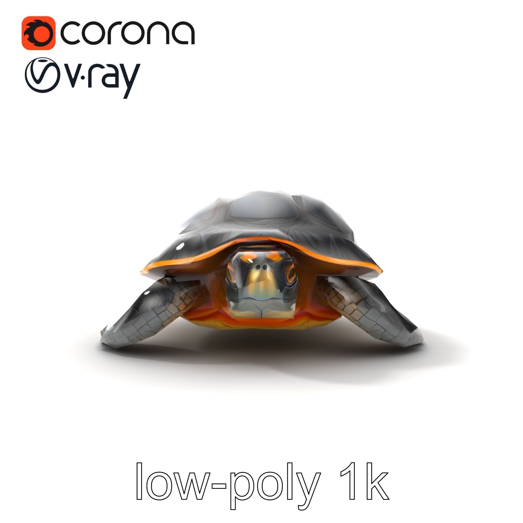 Caspian Turtle Smooth Shell Realism Model Pack Low-poly 3D model_13