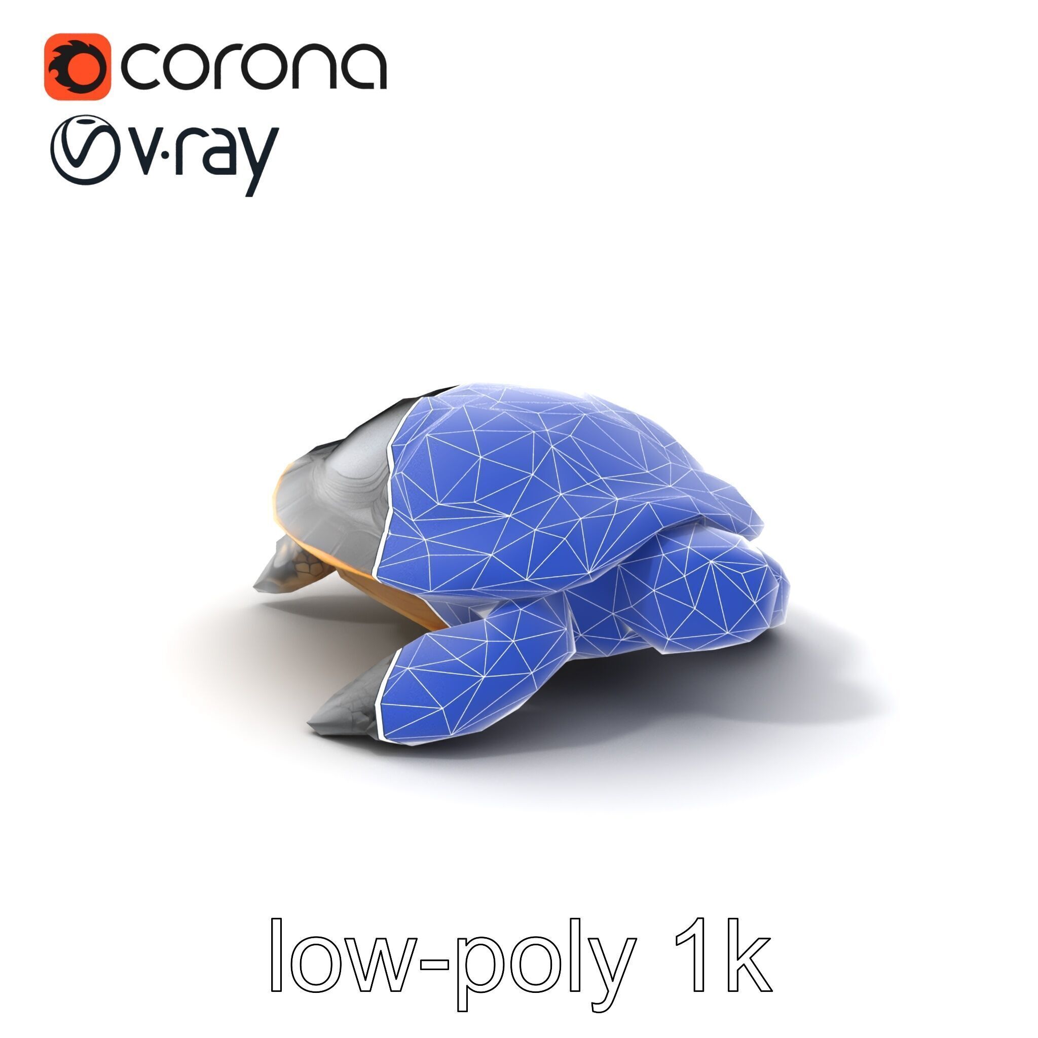 Caspian Turtle Smooth Shell Realism Model Pack Low-poly 3D model_7