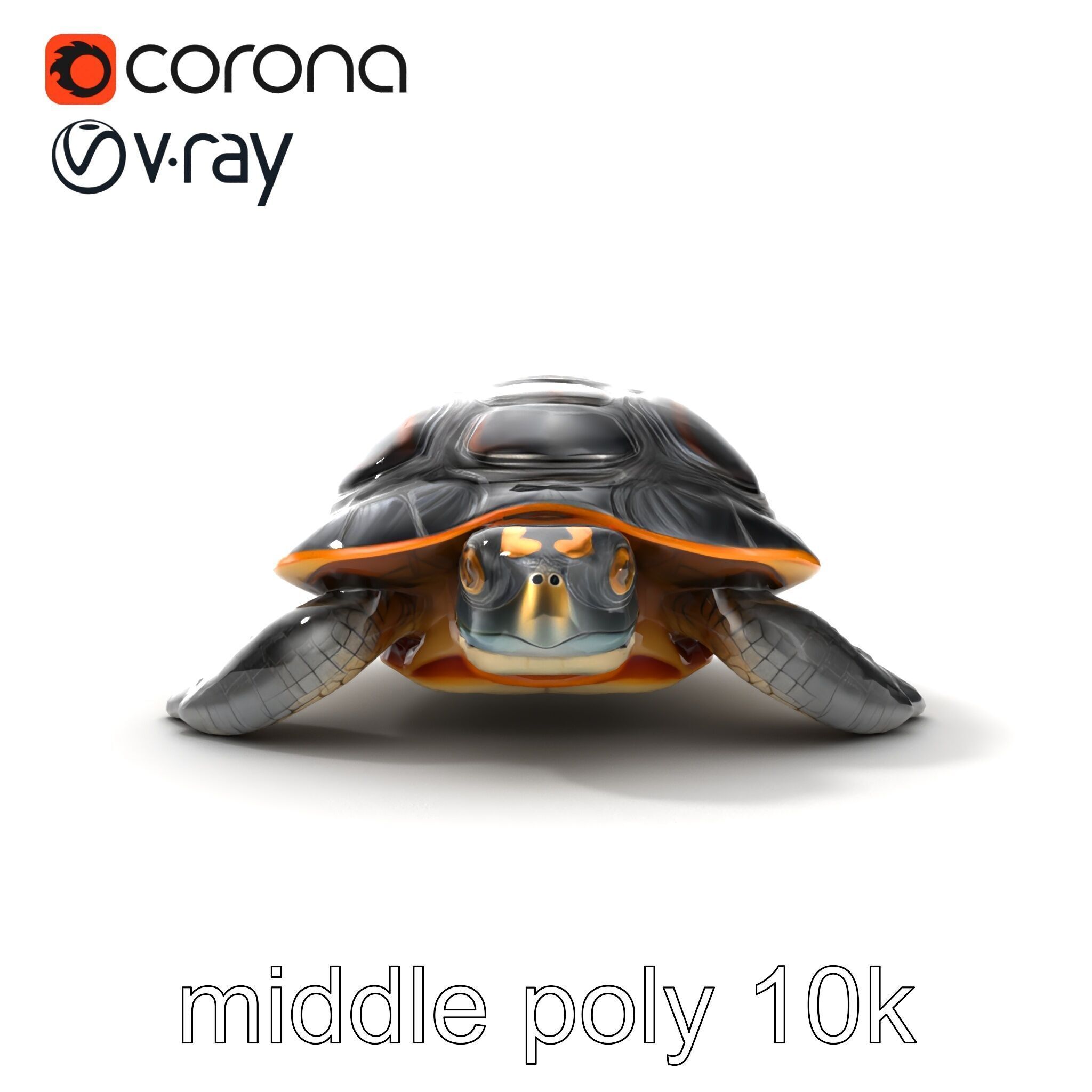 Caspian Turtle Smooth Shell Realism Model Pack Low-poly 3D model_22