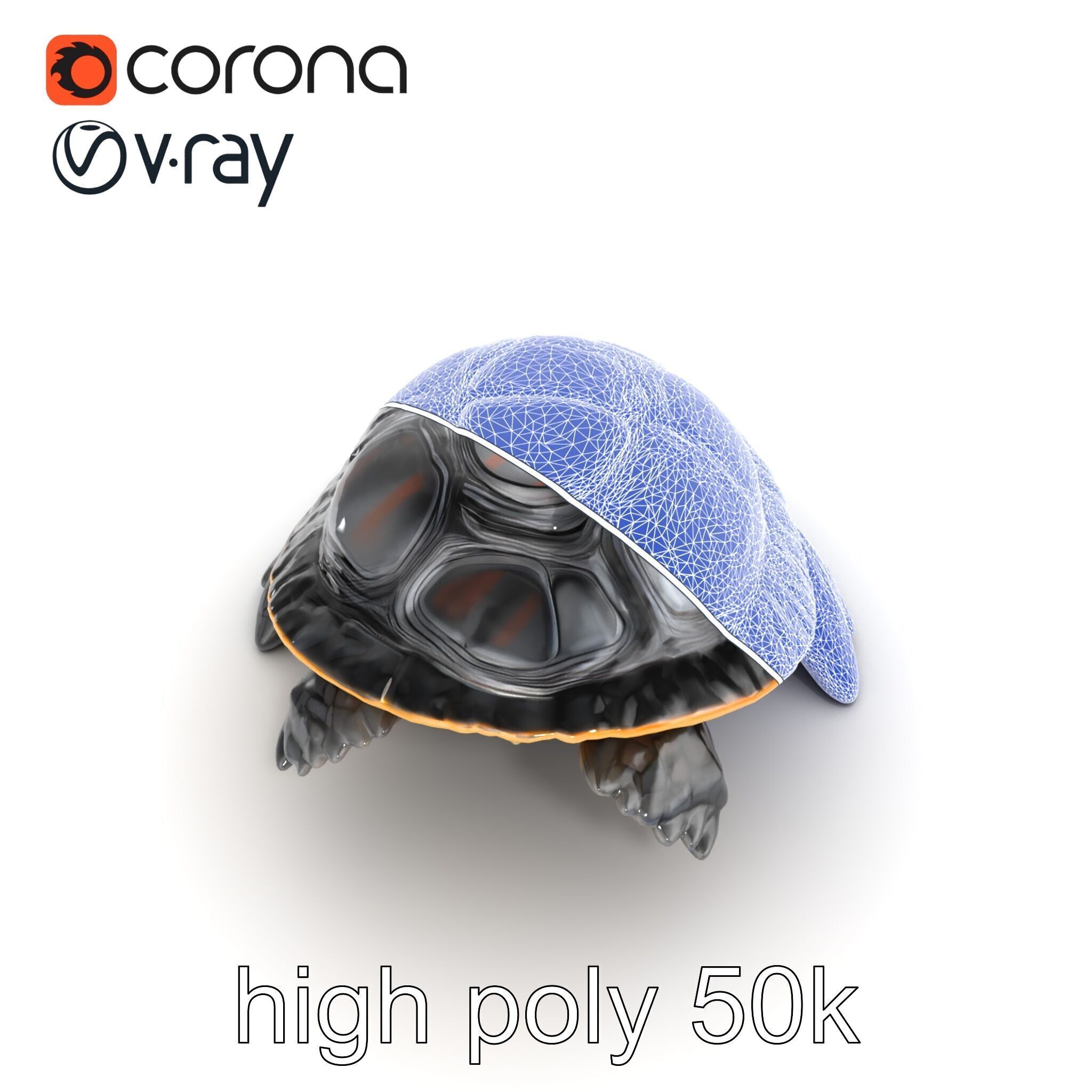 Caspian Turtle Smooth Shell Realism Model Pack Low-poly 3D model_27