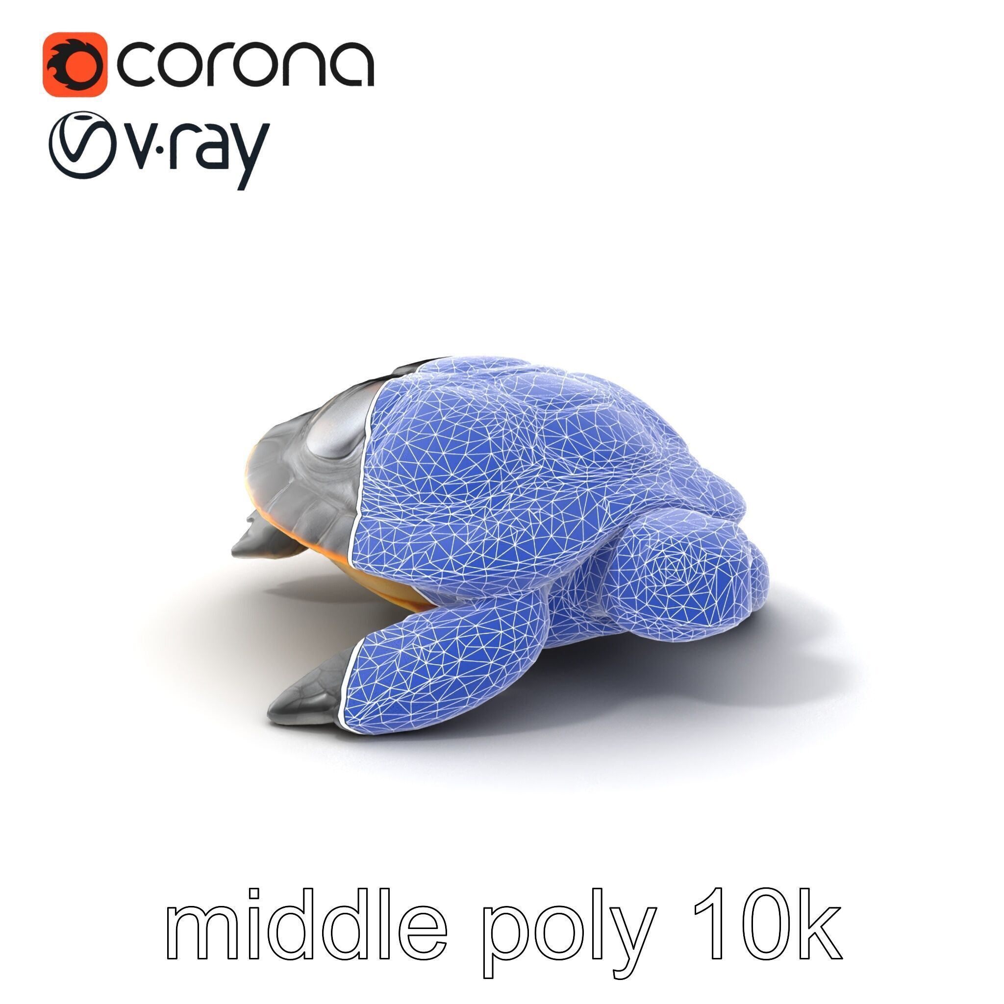 Caspian Turtle Smooth Shell Realism Model Pack Low-poly 3D model_6