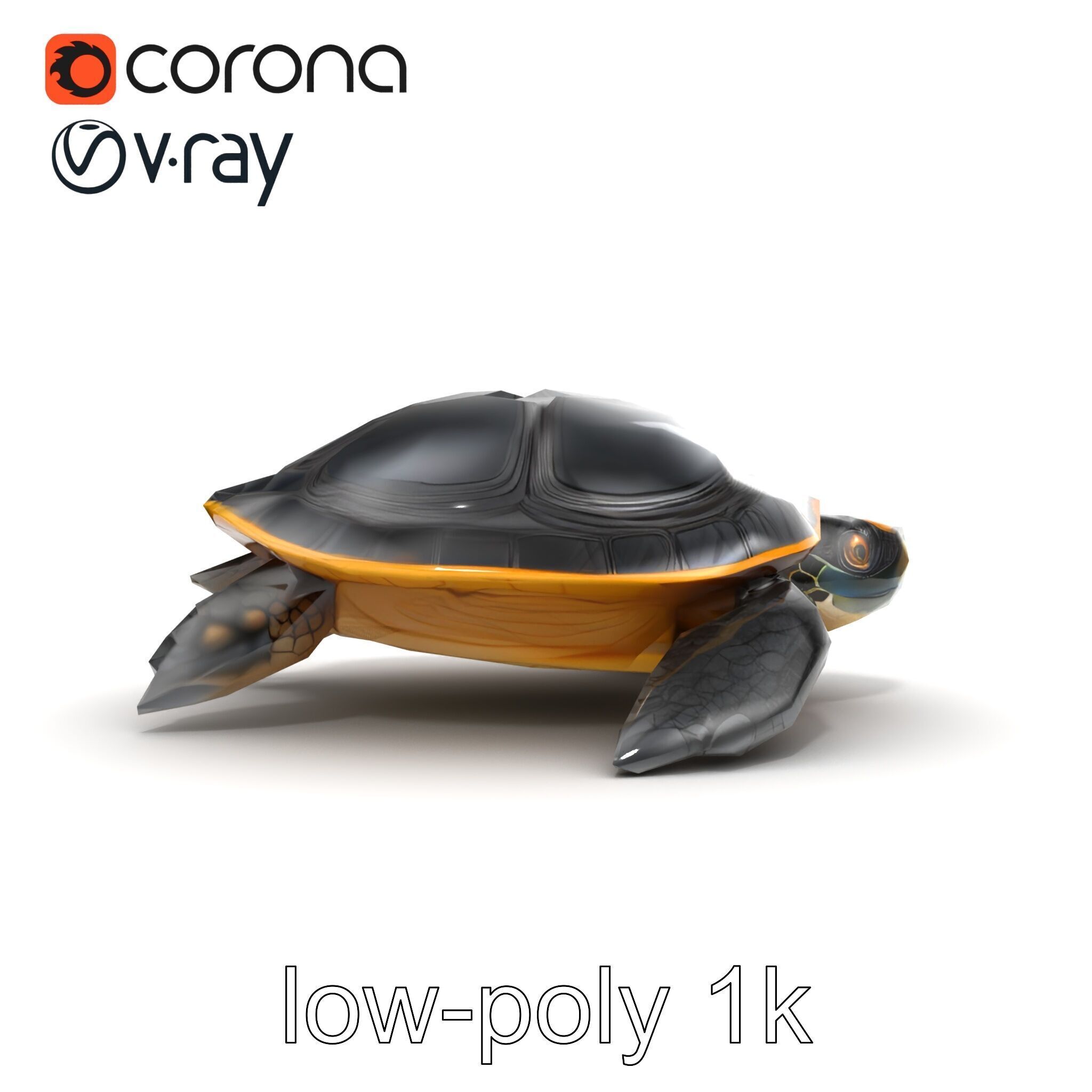 Caspian Turtle Smooth Shell Realism Model Pack Low-poly 3D model_14