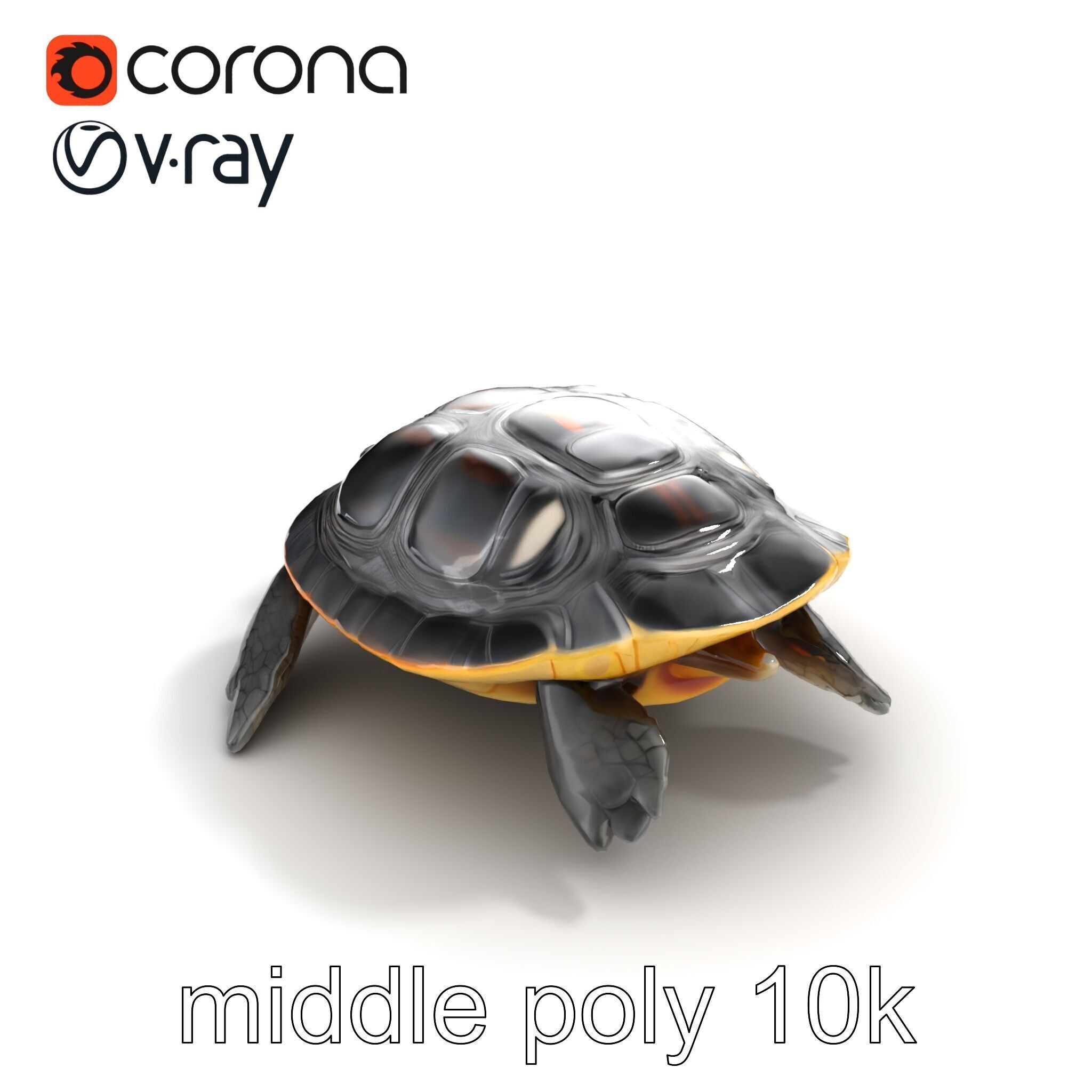 Caspian Turtle Smooth Shell Realism Model Pack Low-poly 3D model_8