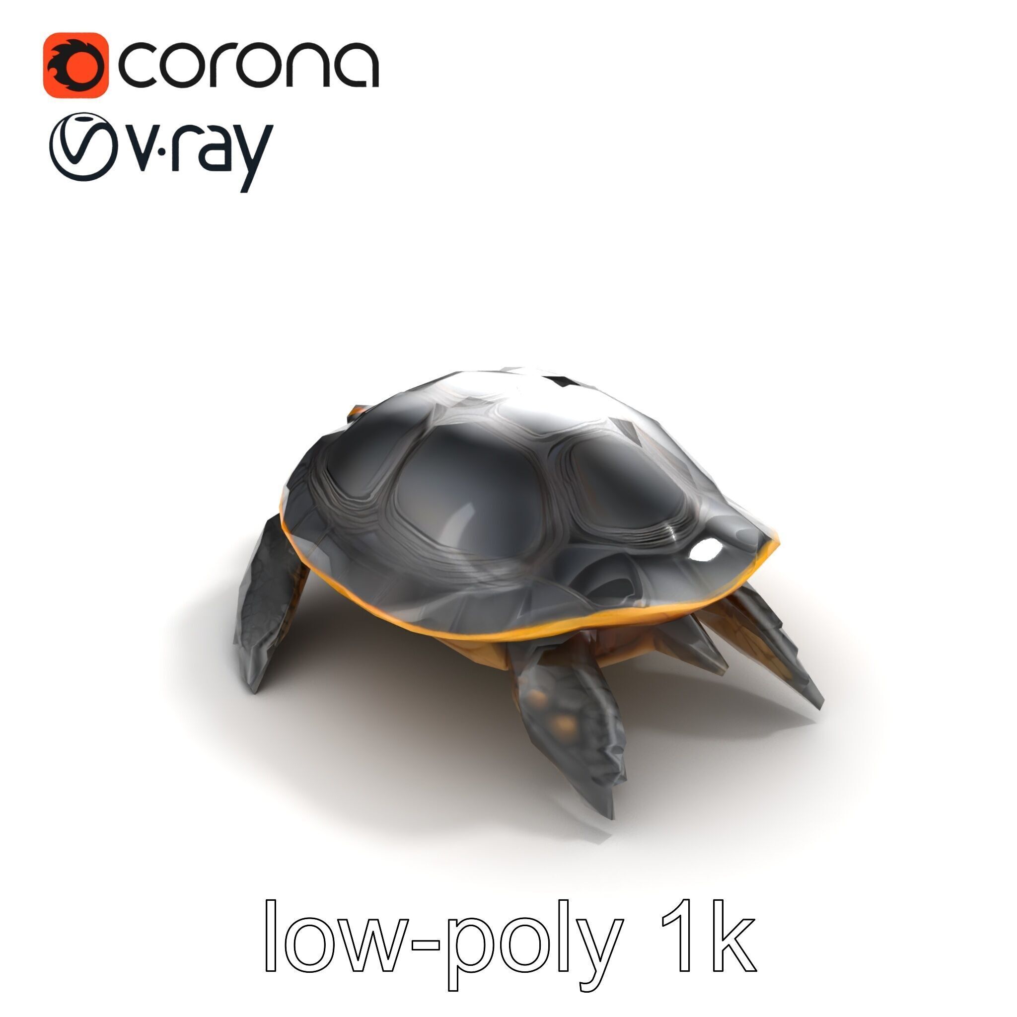 Caspian Turtle Smooth Shell Realism Model Pack Low-poly 3D model_9