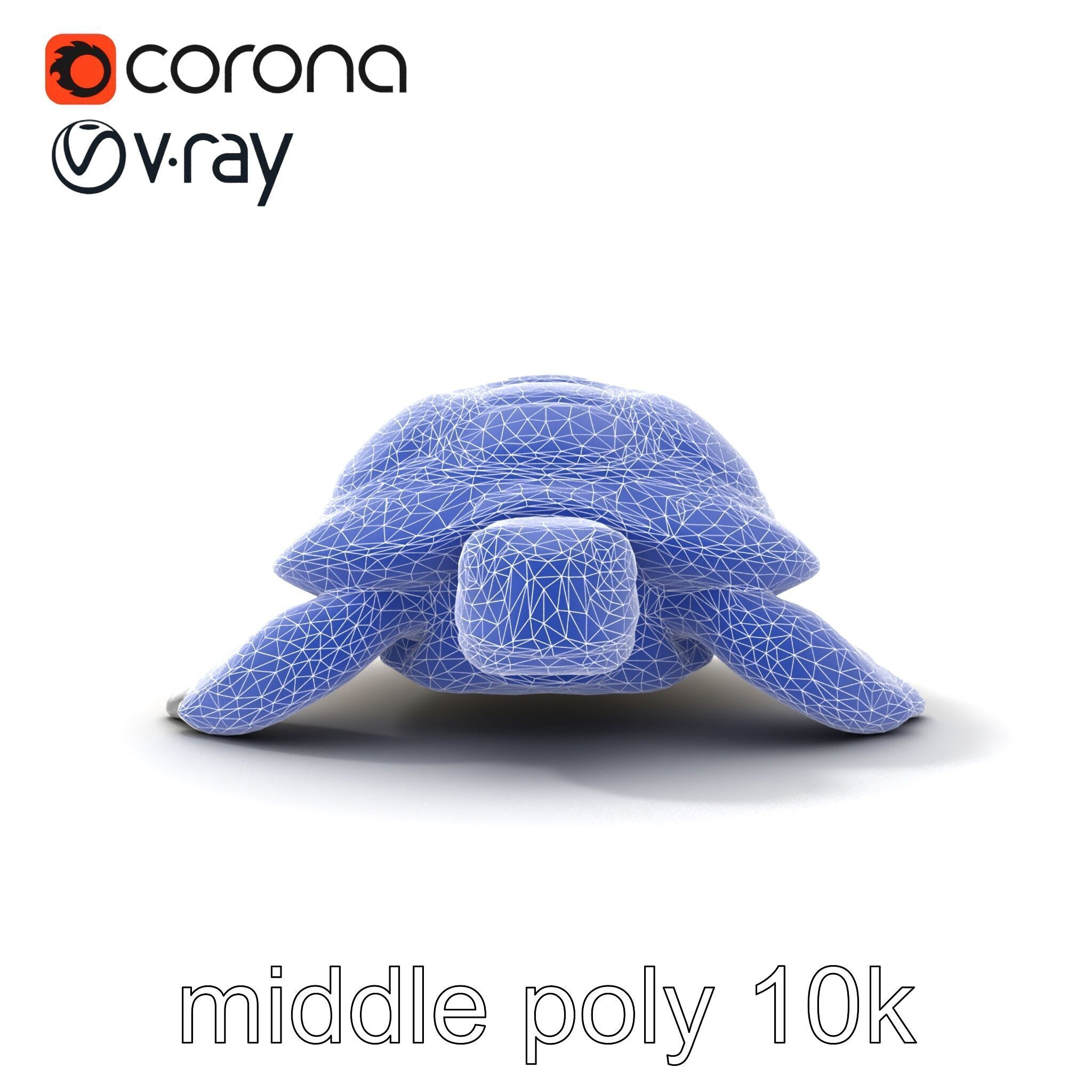 Caspian Turtle Smooth Shell Realism Model Pack Low-poly 3D model_28