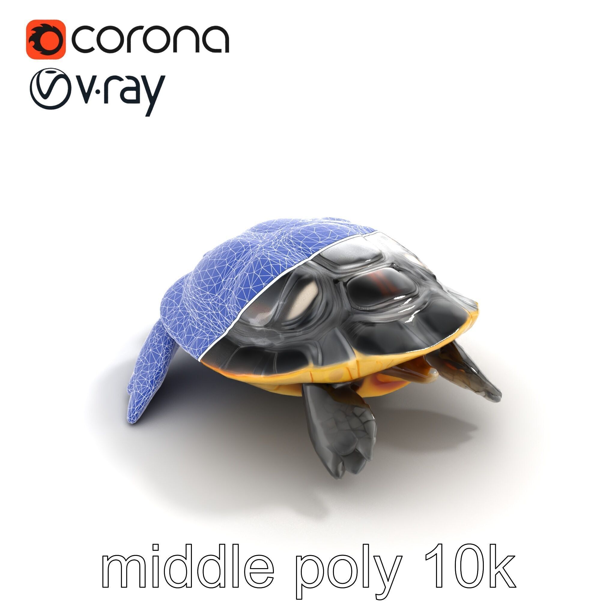 Caspian Turtle Smooth Shell Realism Model Pack Low-poly 3D model_25