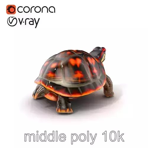 RedEared Slider Turtle Detailed Model Pack Low-poly 3D model