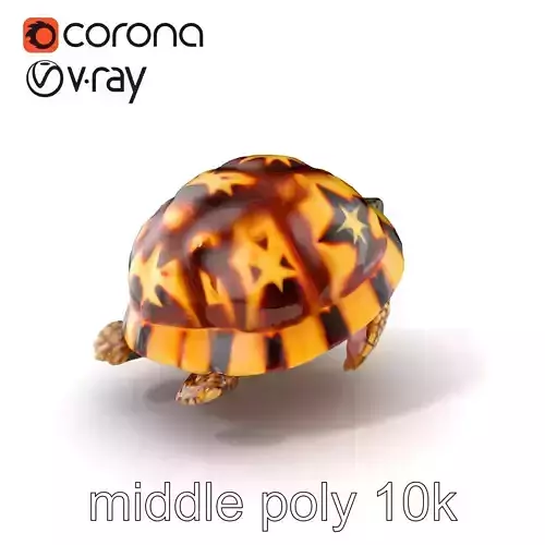 Indian Star Tortoise Realistic Shell model pack Low-poly 3D model