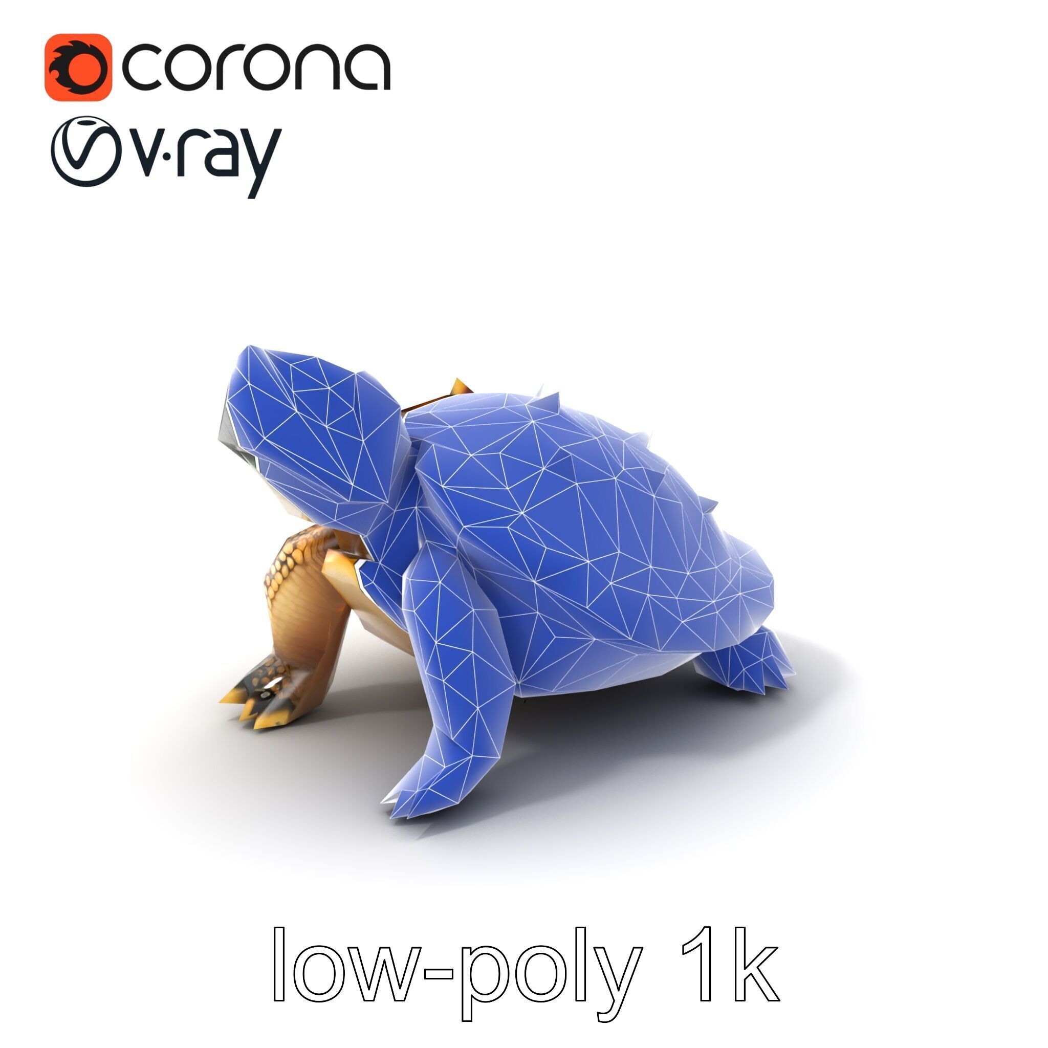 Spiny Softshell Turtle Detailed D Model Pack Low-poly 3D model_7