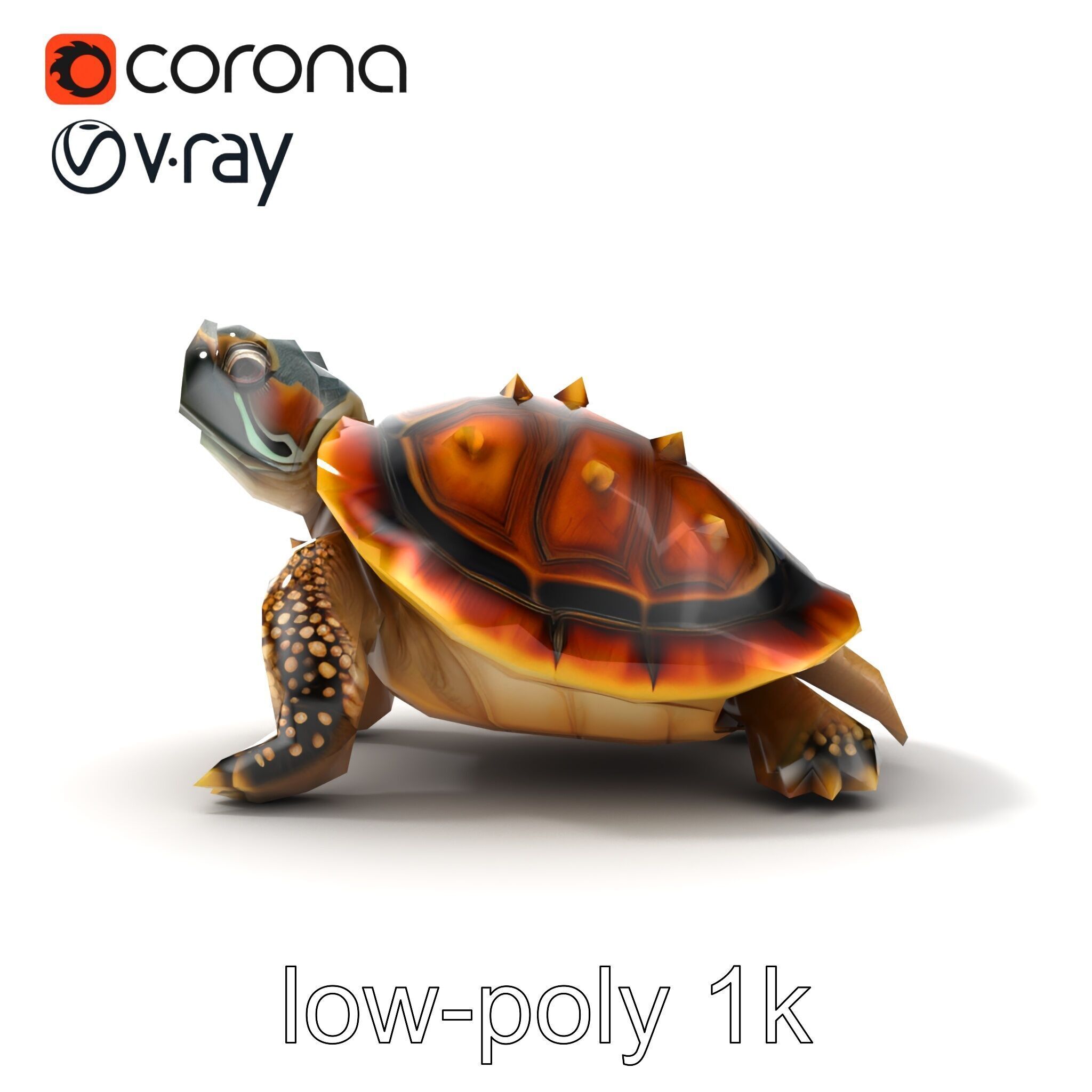 Spiny Softshell Turtle Detailed D Model Pack Low-poly 3D model_27