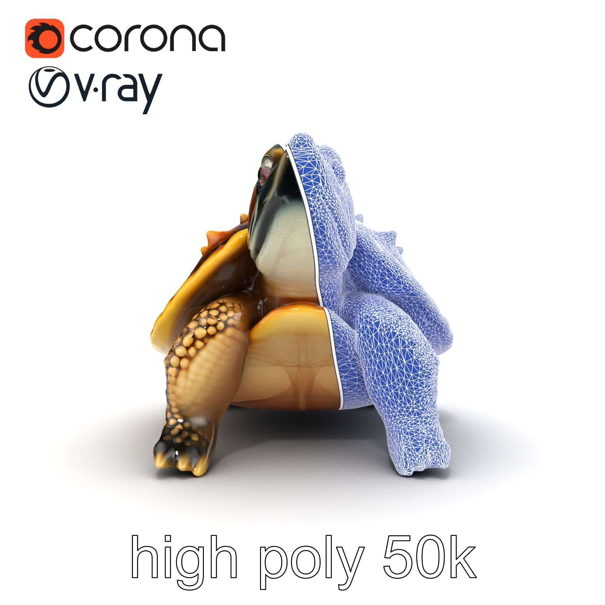 Spiny Softshell Turtle Detailed D Model Pack Low-poly 3D model_23