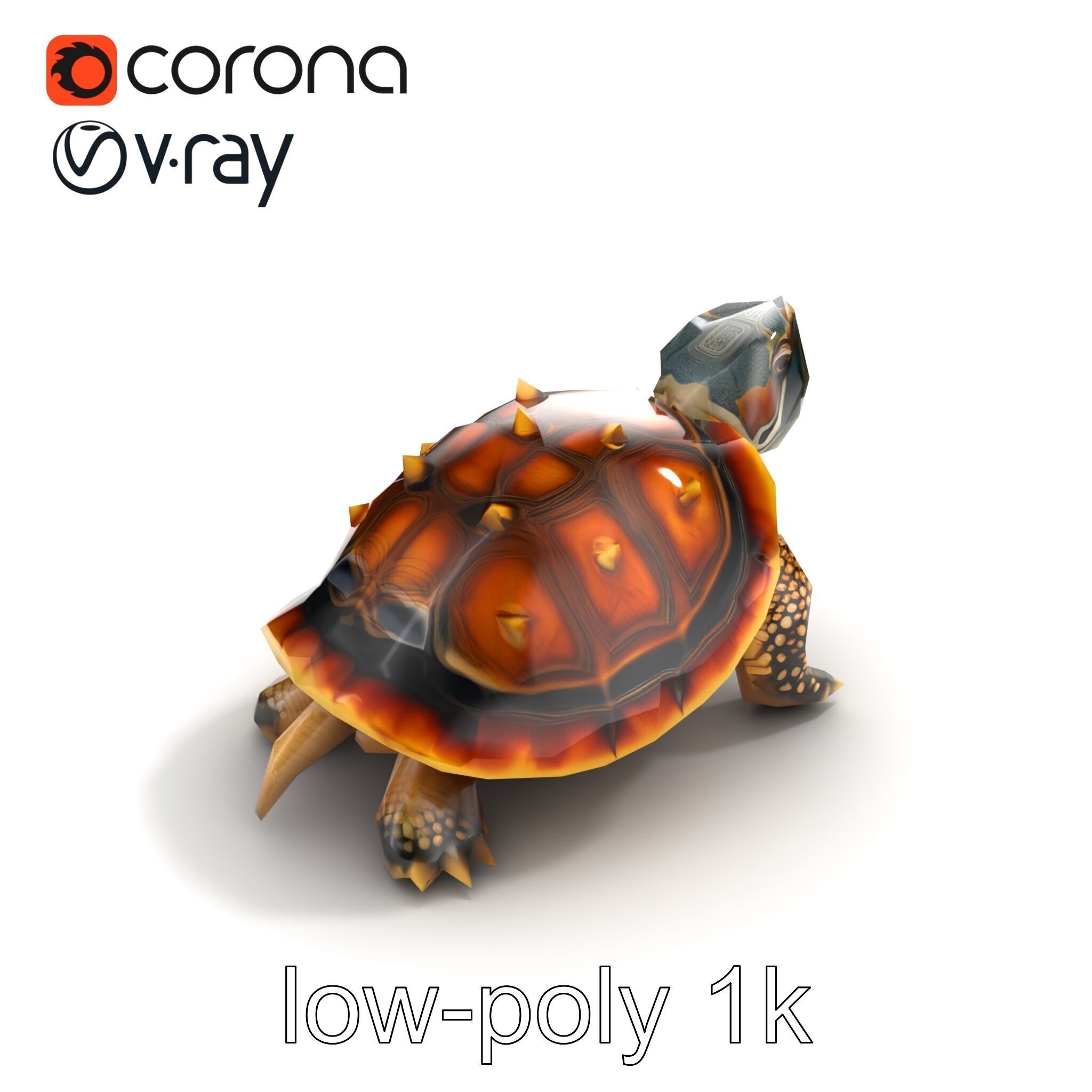 Spiny Softshell Turtle Detailed D Model Pack Low-poly 3D model_9