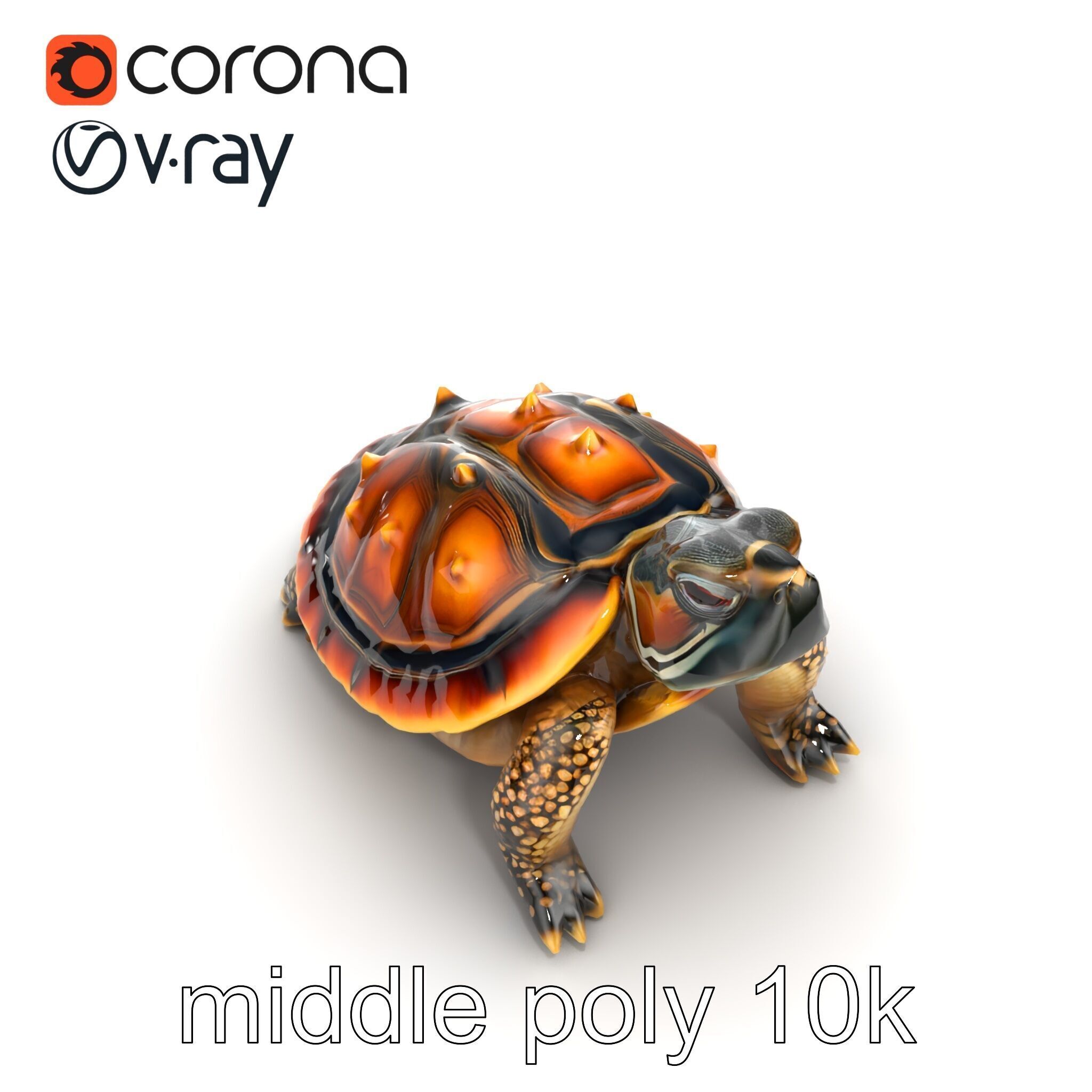 Spiny Softshell Turtle Detailed D Model Pack Low-poly 3D model_15