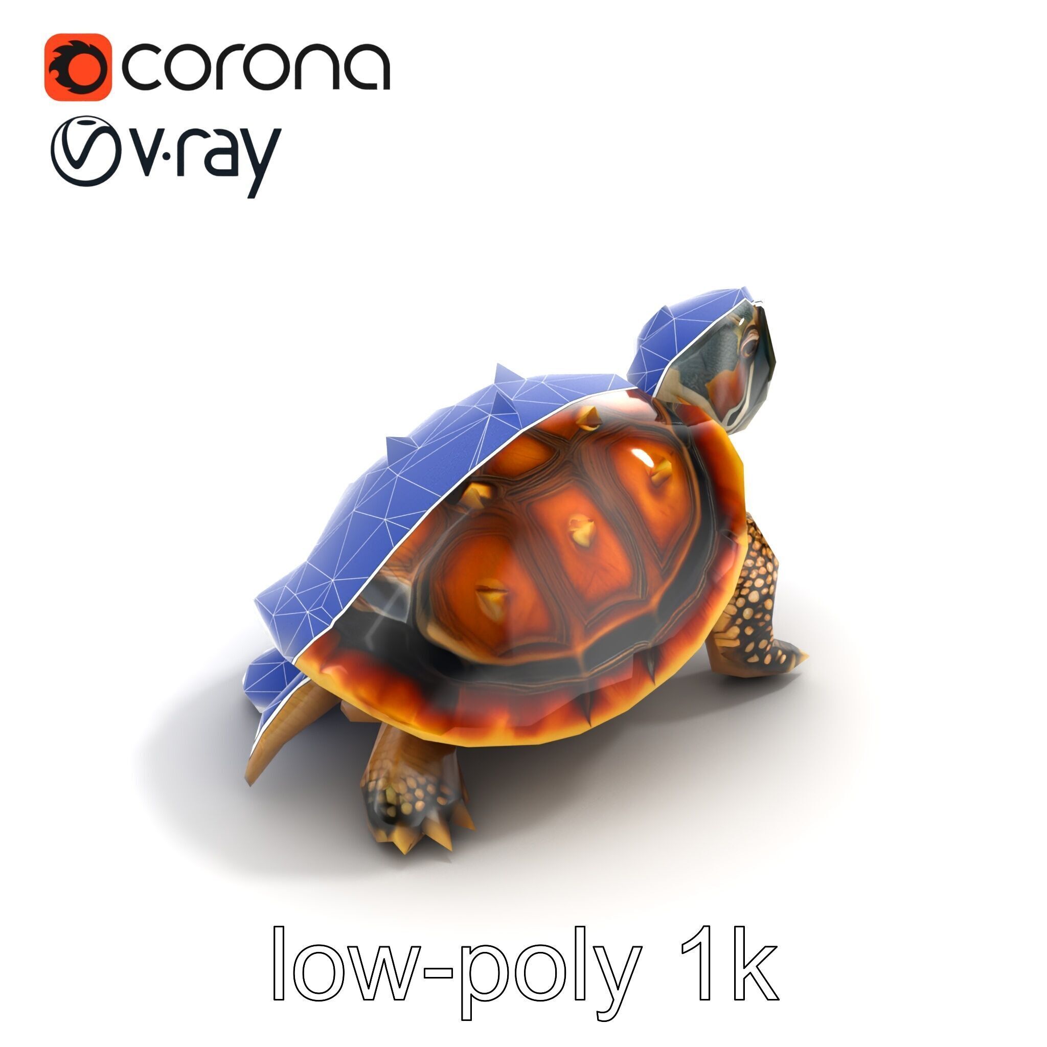 Spiny Softshell Turtle Detailed D Model Pack Low-poly 3D model_25