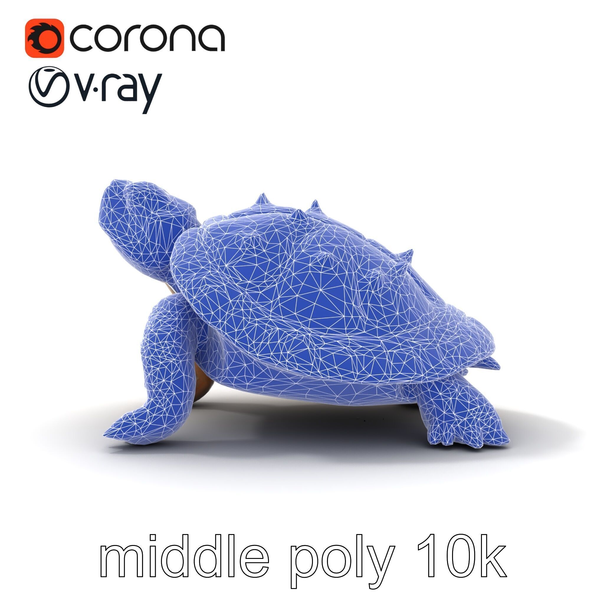 Spiny Softshell Turtle Detailed D Model Pack Low-poly 3D model_17