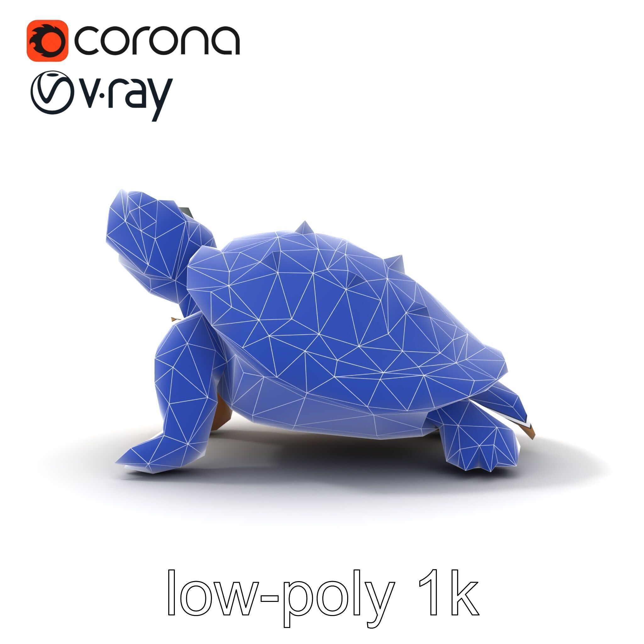 Spiny Softshell Turtle Detailed D Model Pack Low-poly 3D model_12