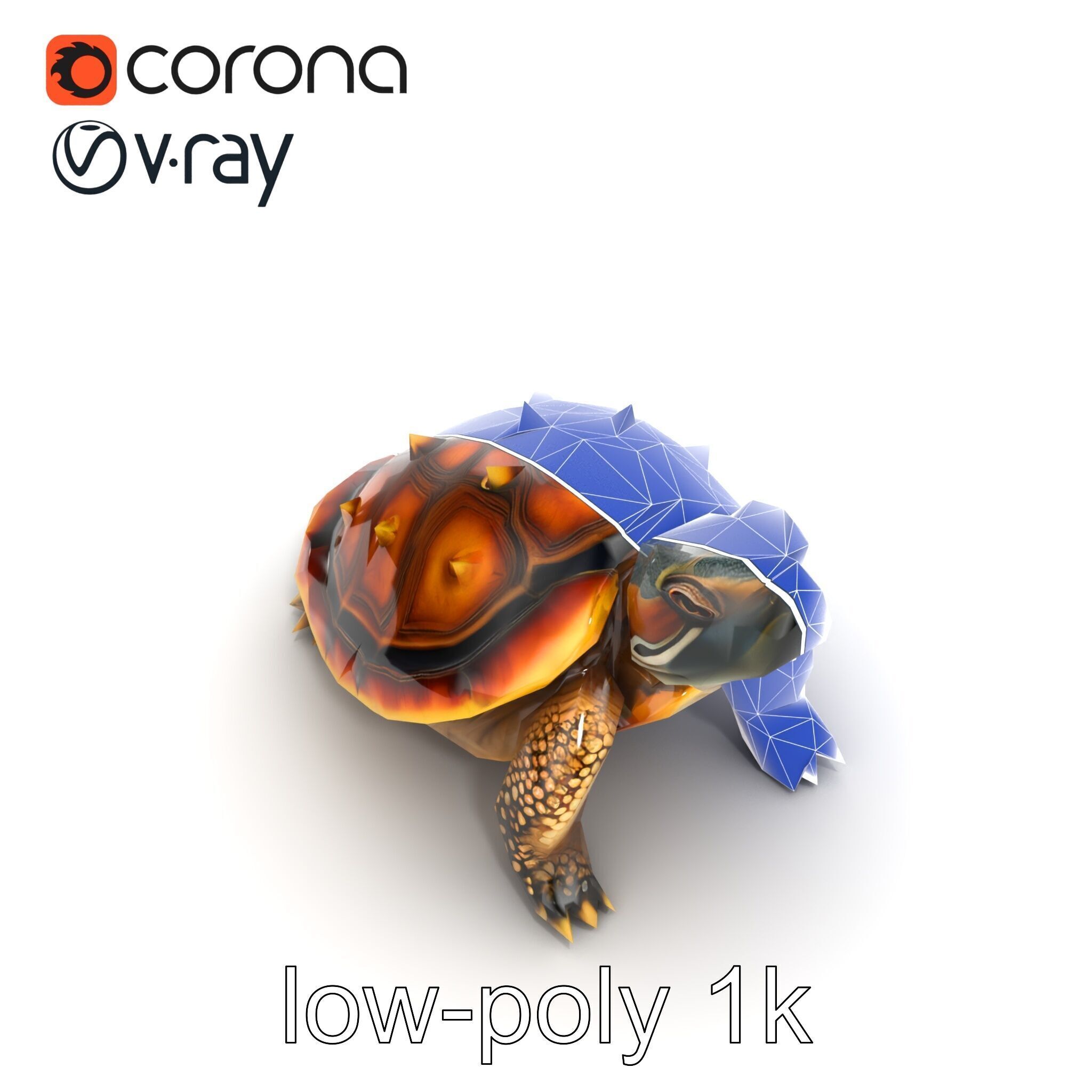 Spiny Softshell Turtle Detailed D Model Pack Low-poly 3D model_16