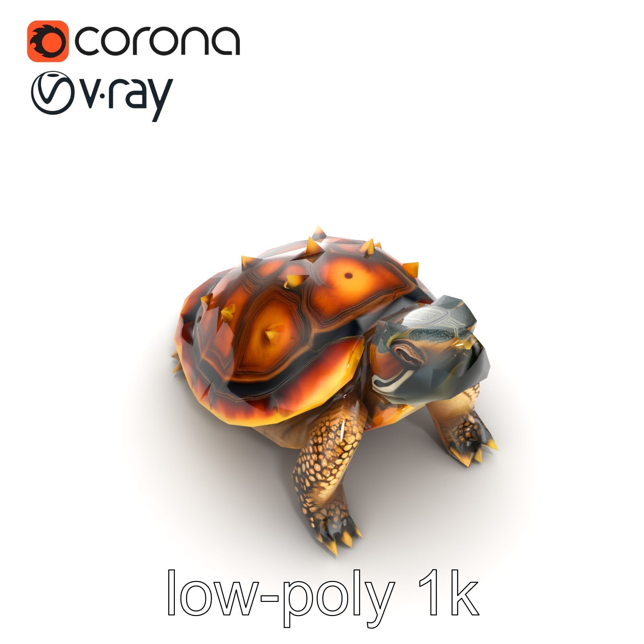 Spiny Softshell Turtle Detailed D Model Pack Low-poly 3D model_13