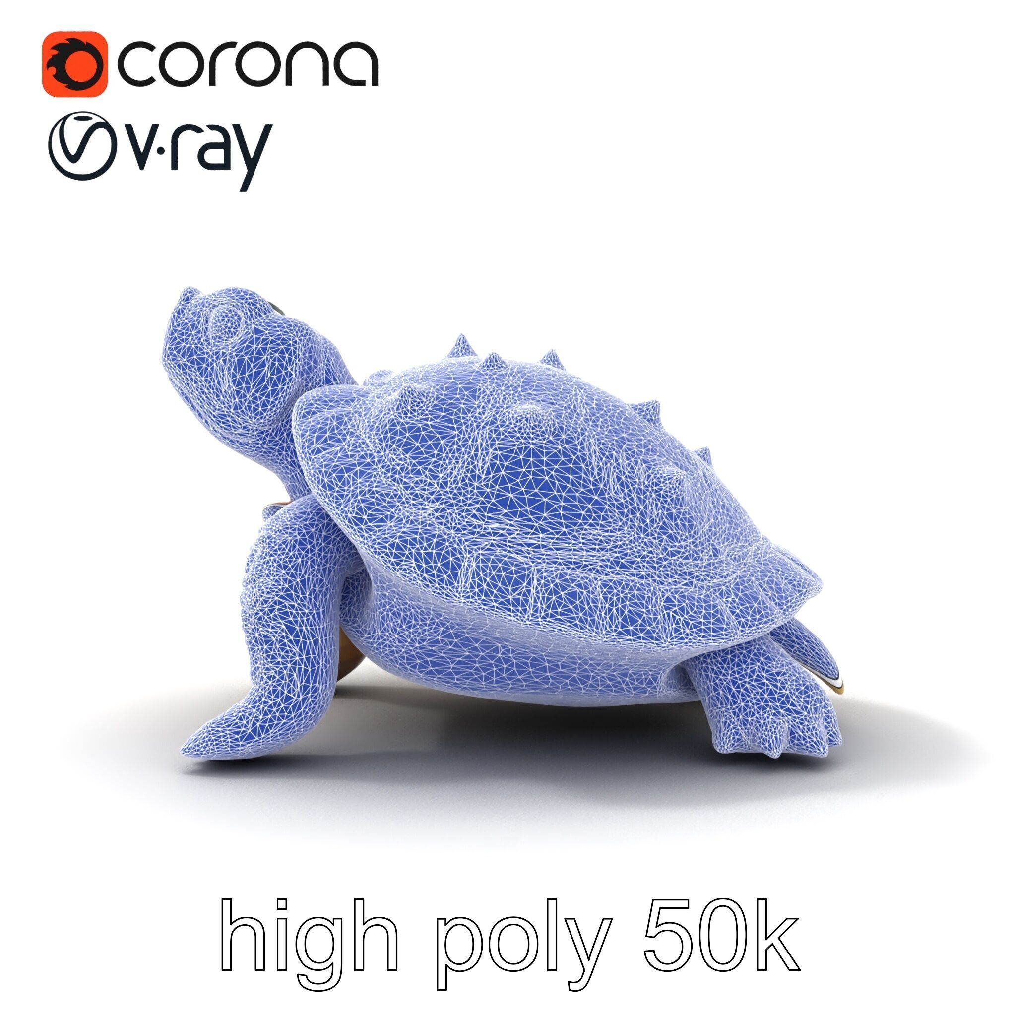 Spiny Softshell Turtle Detailed D Model Pack Low-poly 3D model_32
