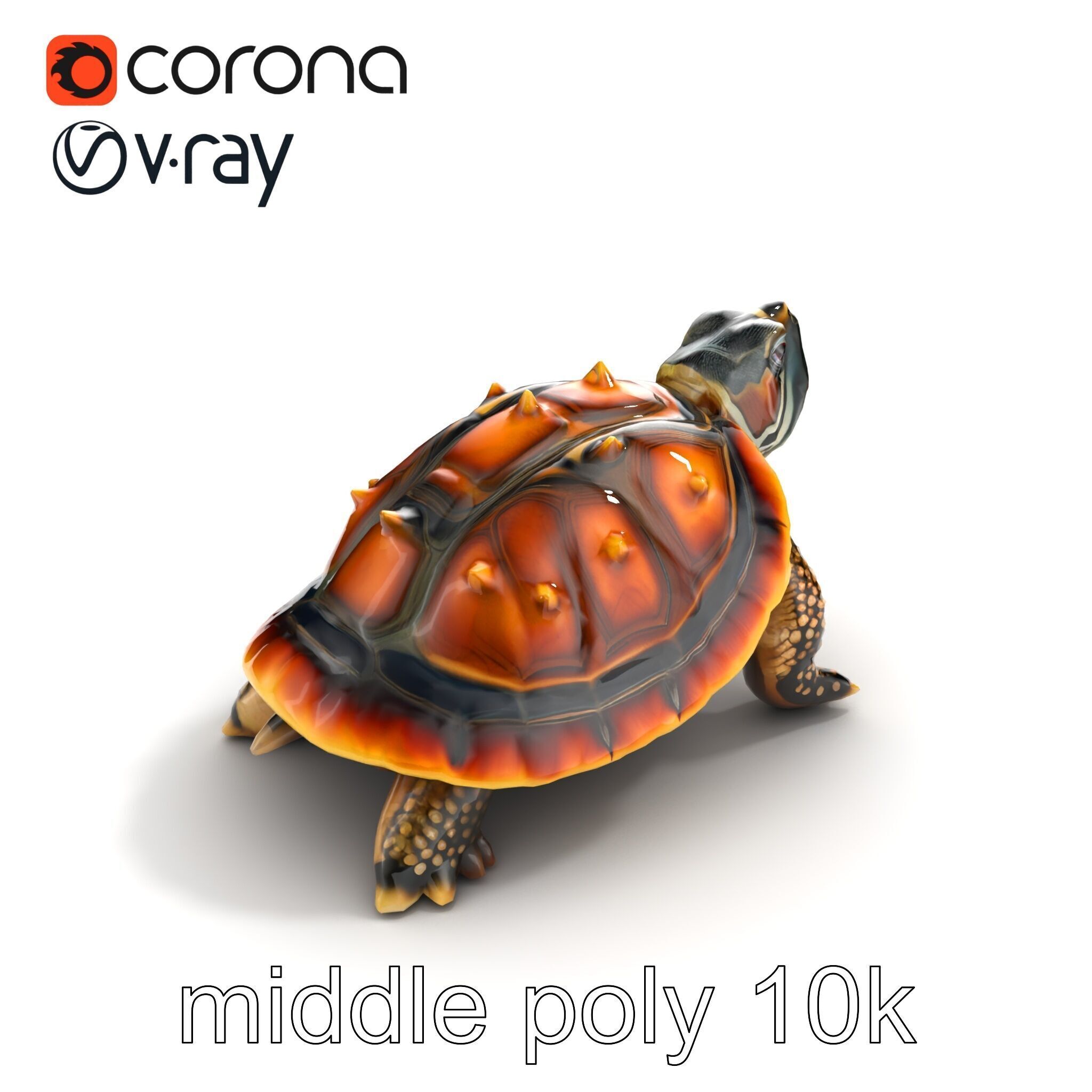 Spiny Softshell Turtle Detailed D Model Pack Low-poly 3D model_8